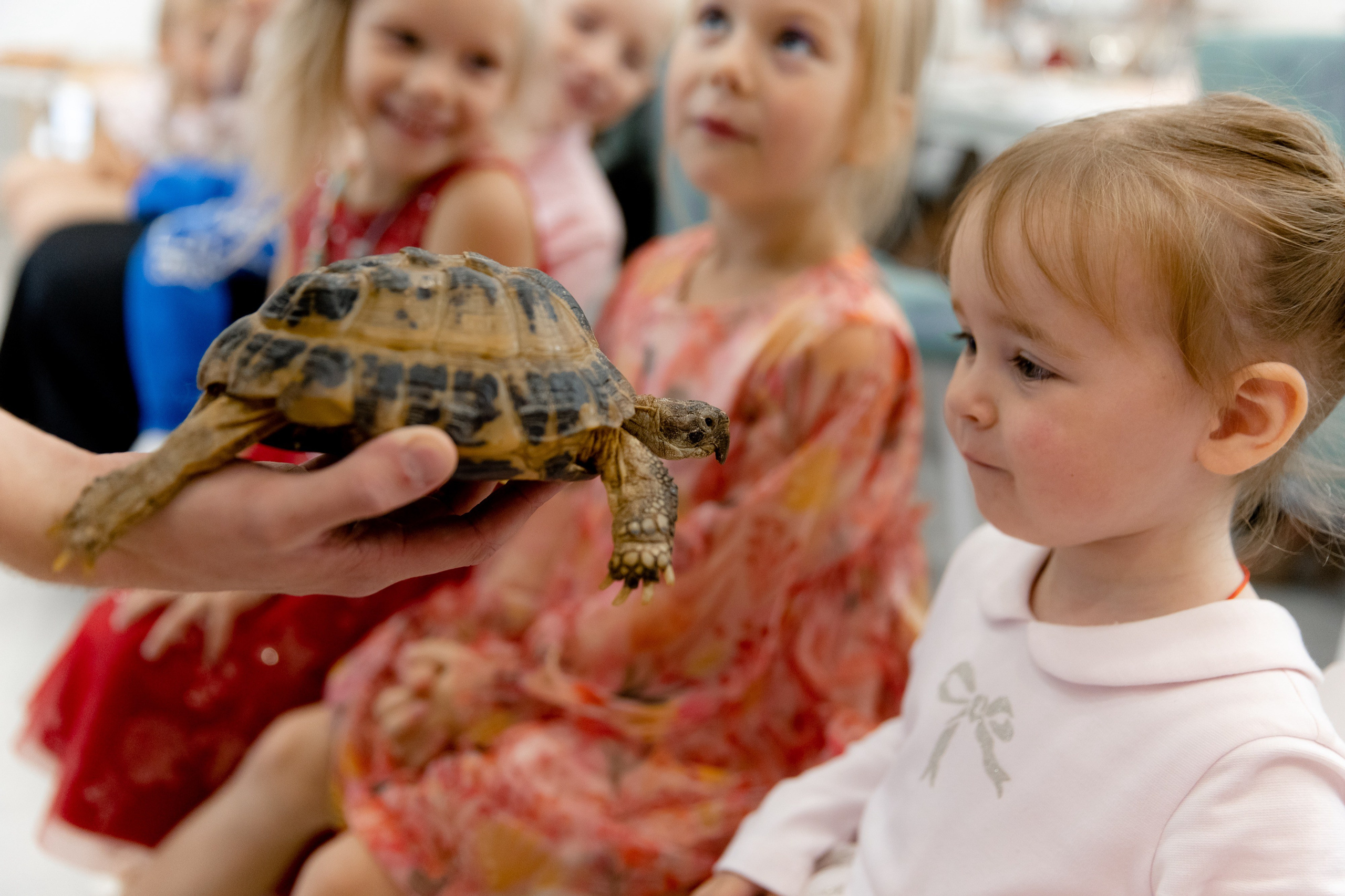 Стефания 2 года. Фотограф Роман Полянин