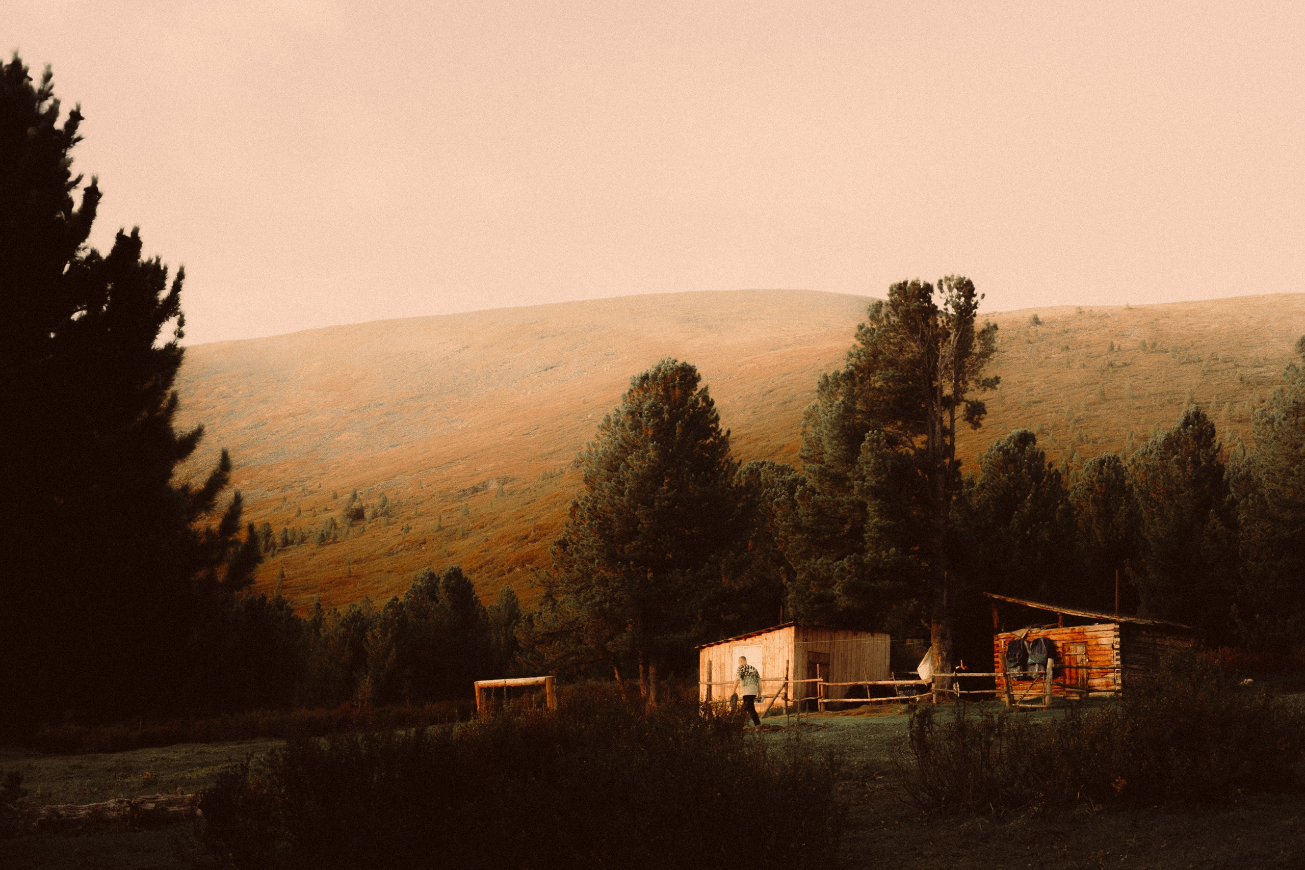 Шавлинские. Главная