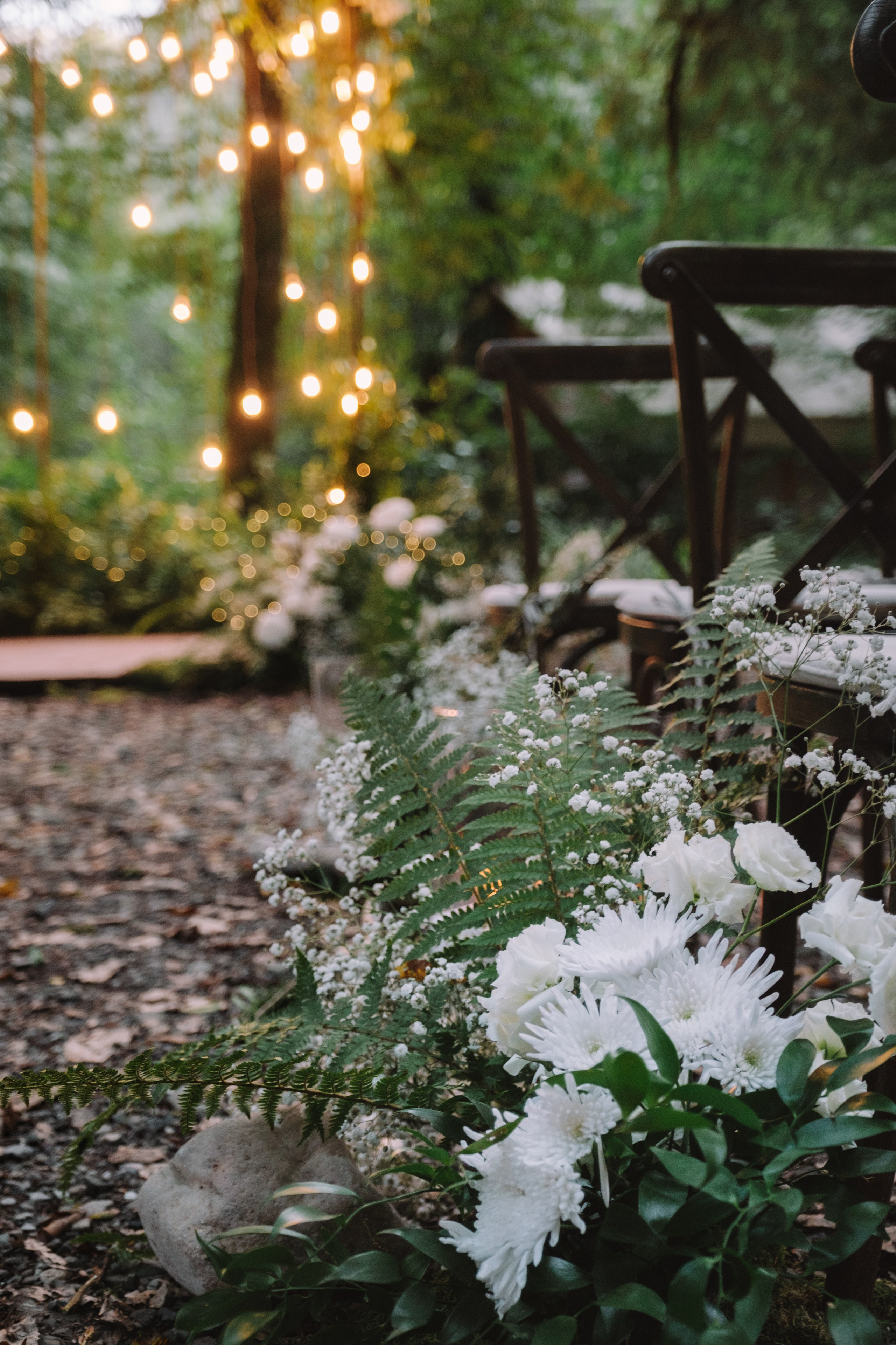 Кот и Дракон. Свадебный Видеограф Фотограф в Сочи