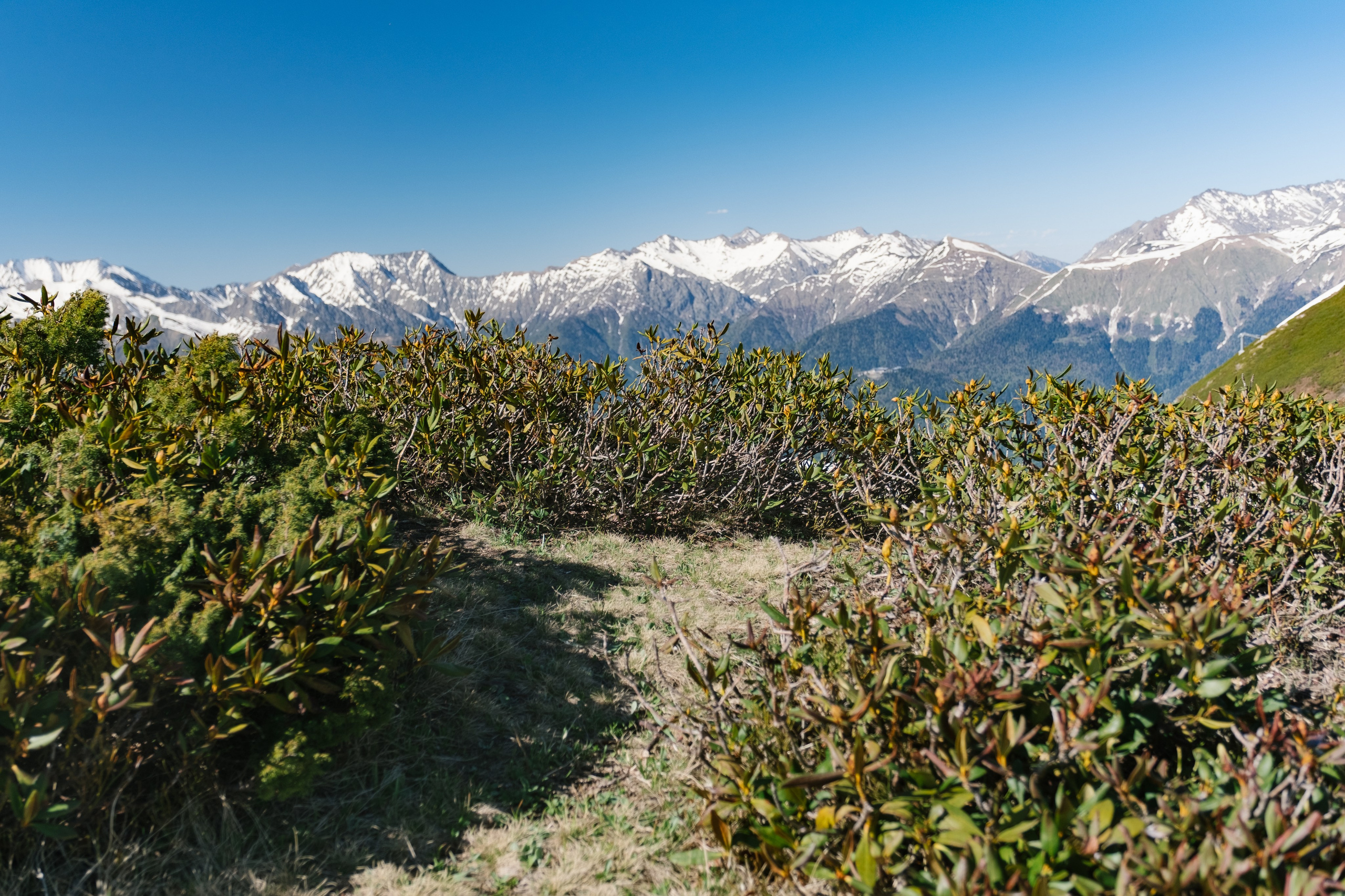 Роза Пик. Свадебный Видеограф Фотограф в Сочи