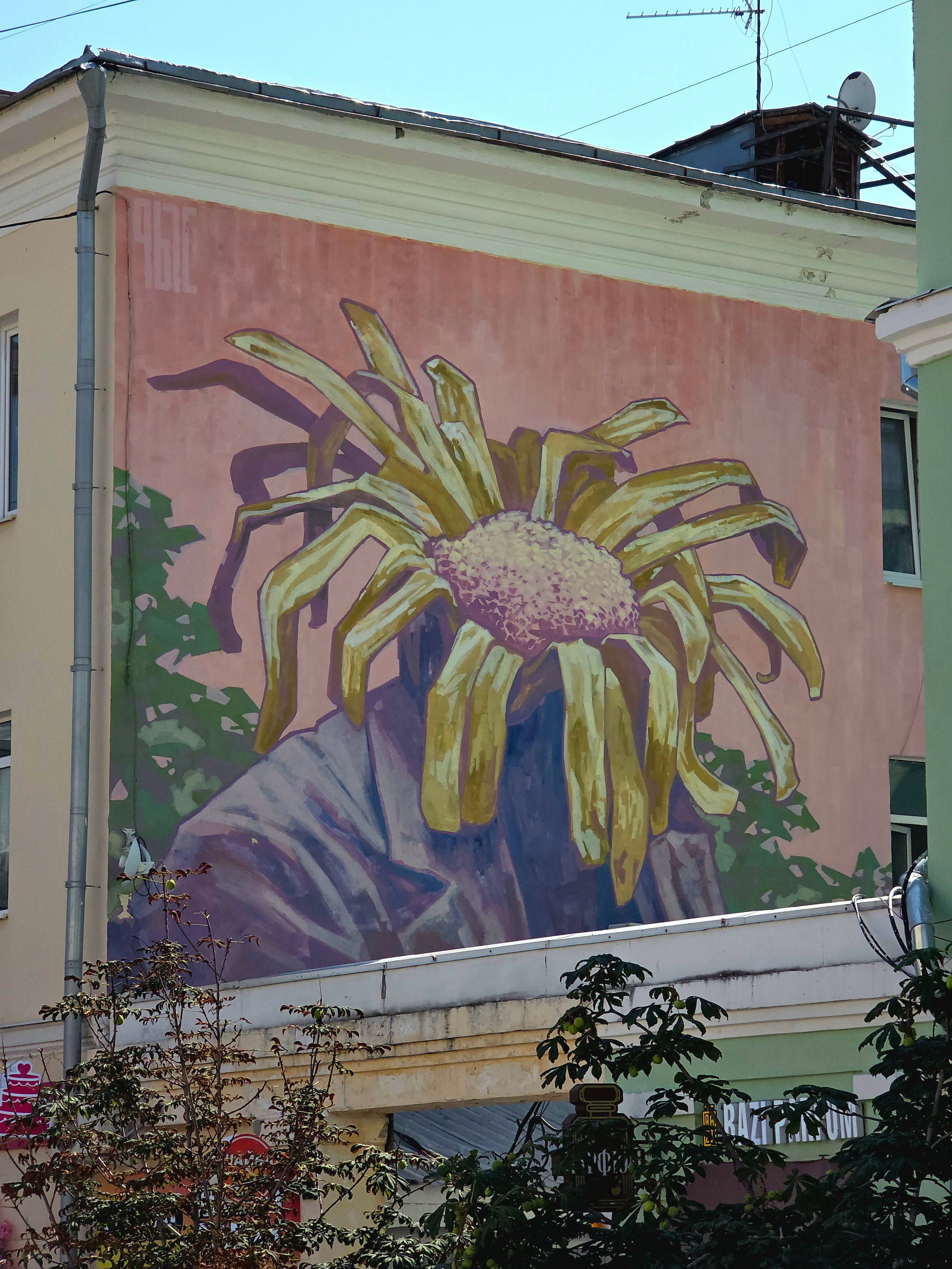 В городе много графити и муралов. Красиво, стильно и философски