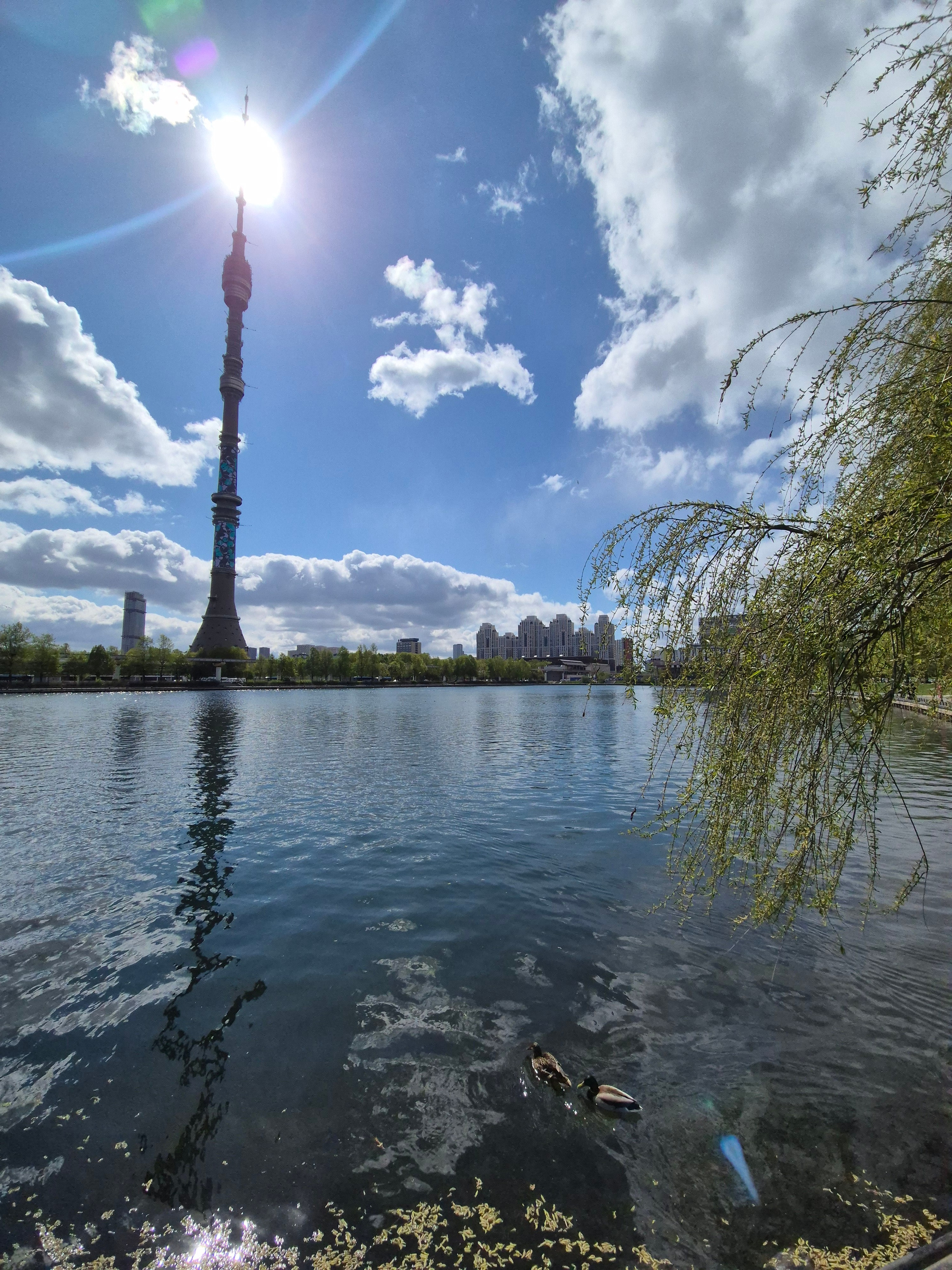 Останкинский пруд. По преданию пруд был вырыт крепостными графа Шереметева за одну ночь перед приездом императрицы.