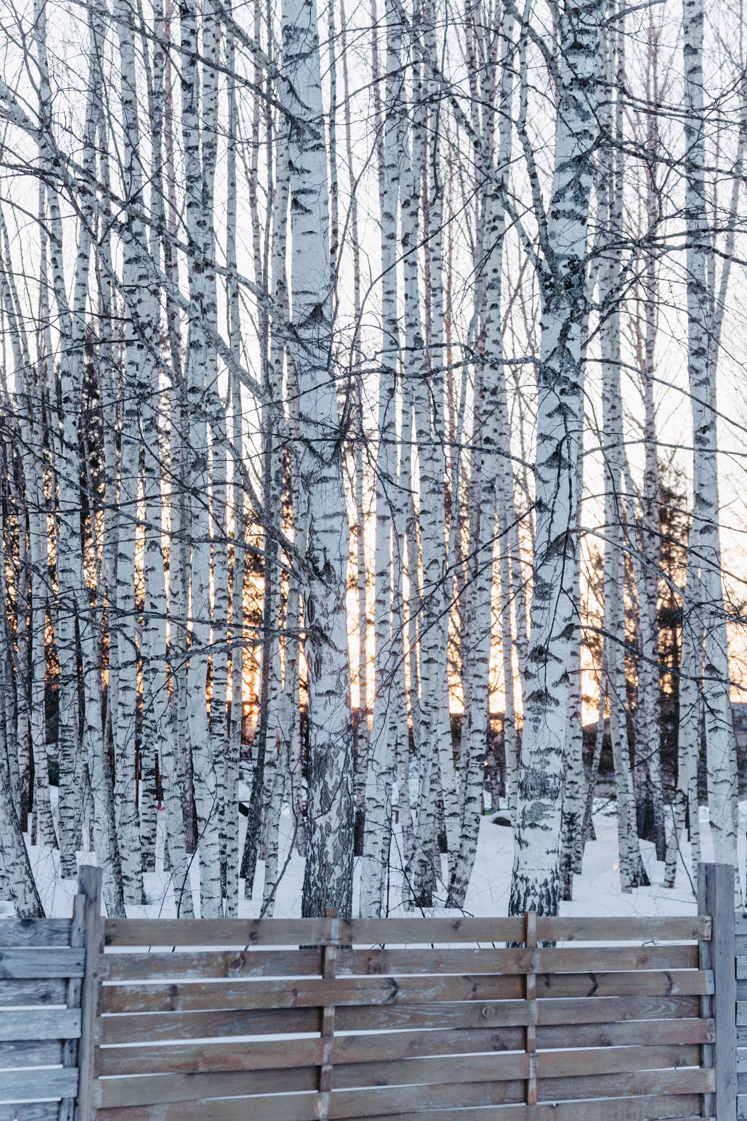 Междуречье|Экоотель. Фотограф Абакумова Анастасия