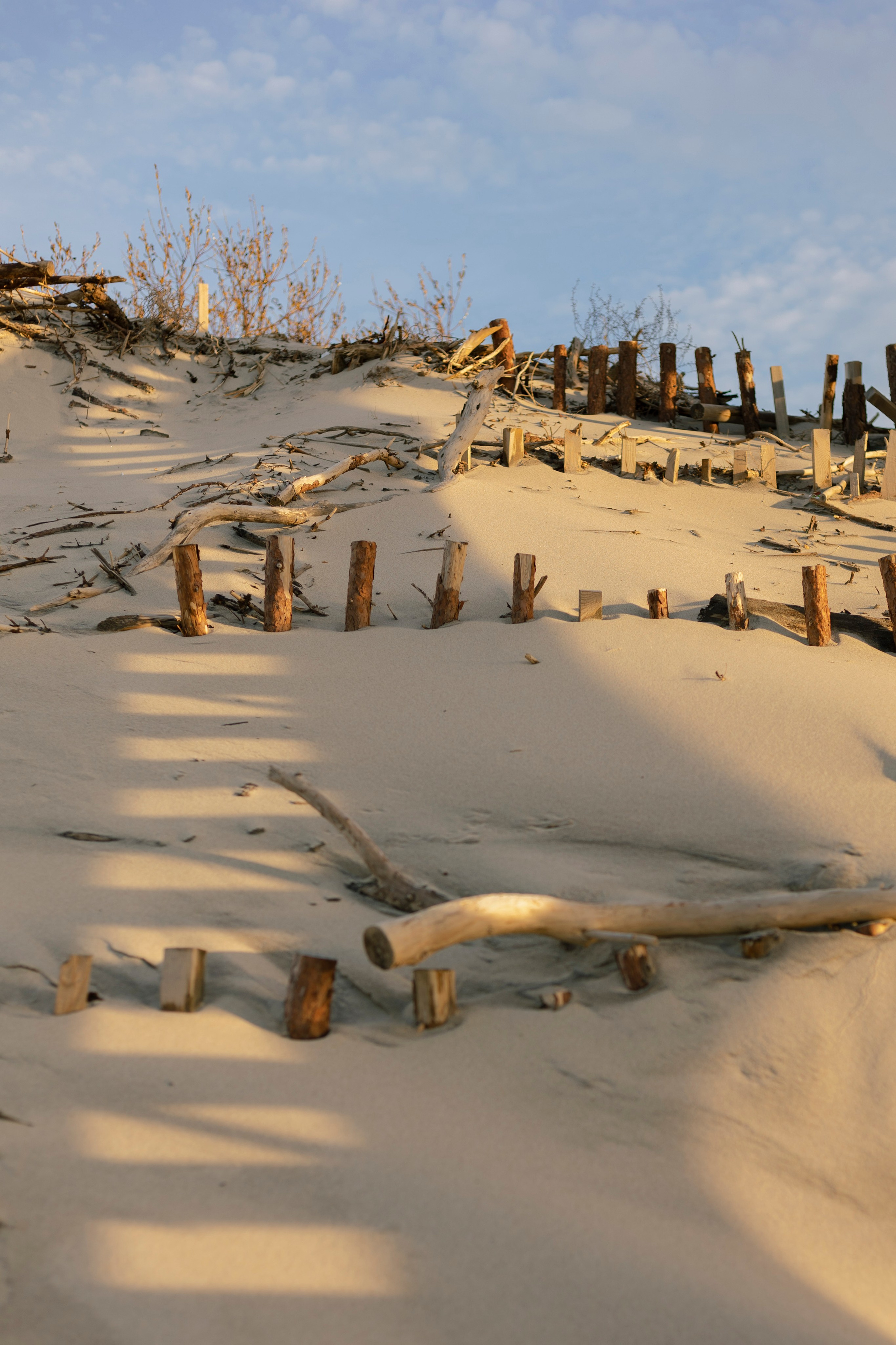 Съемка на куршской косе. Свадебный фотограф Калининград