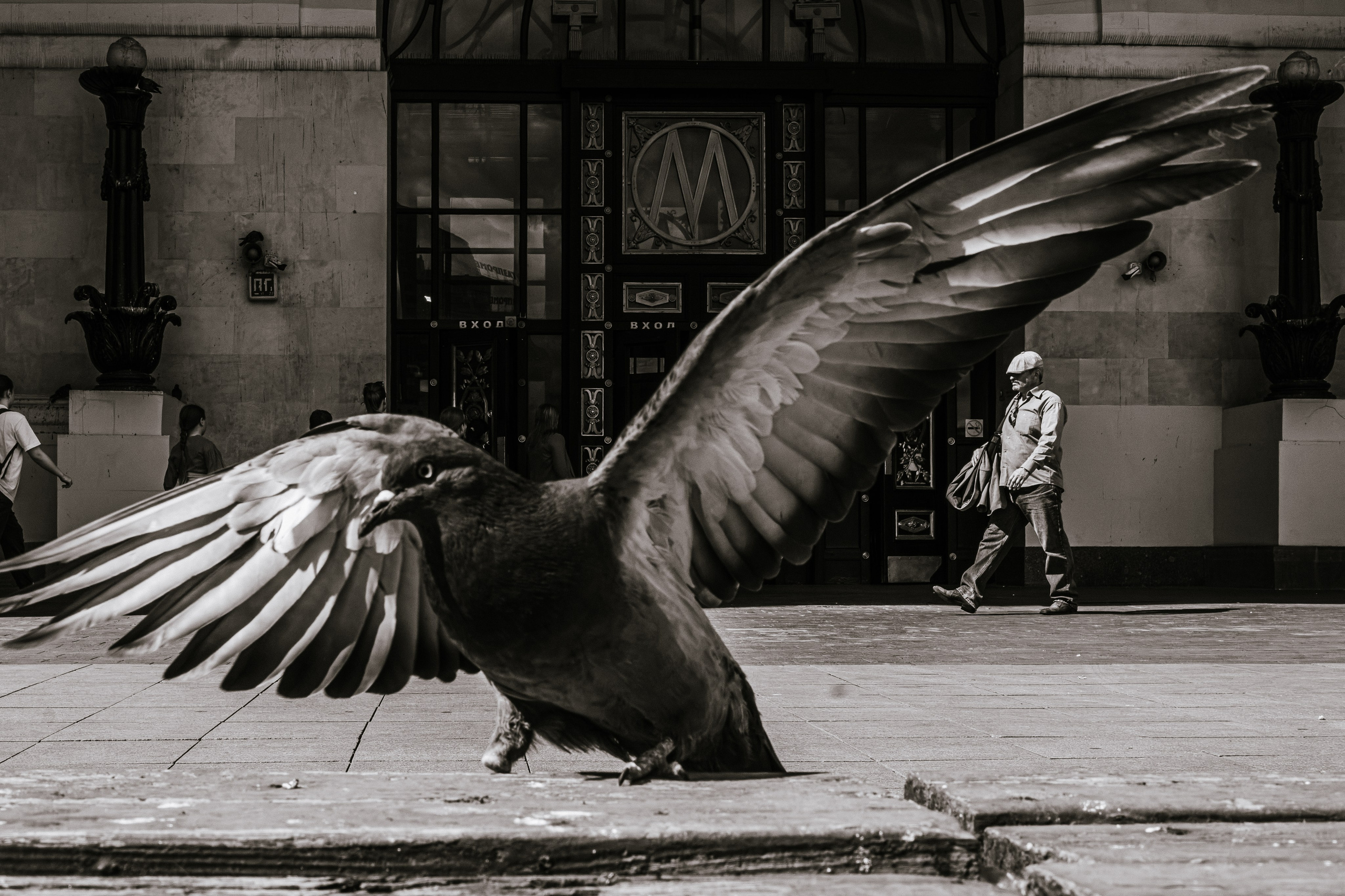 Street. Фотограф в Москве