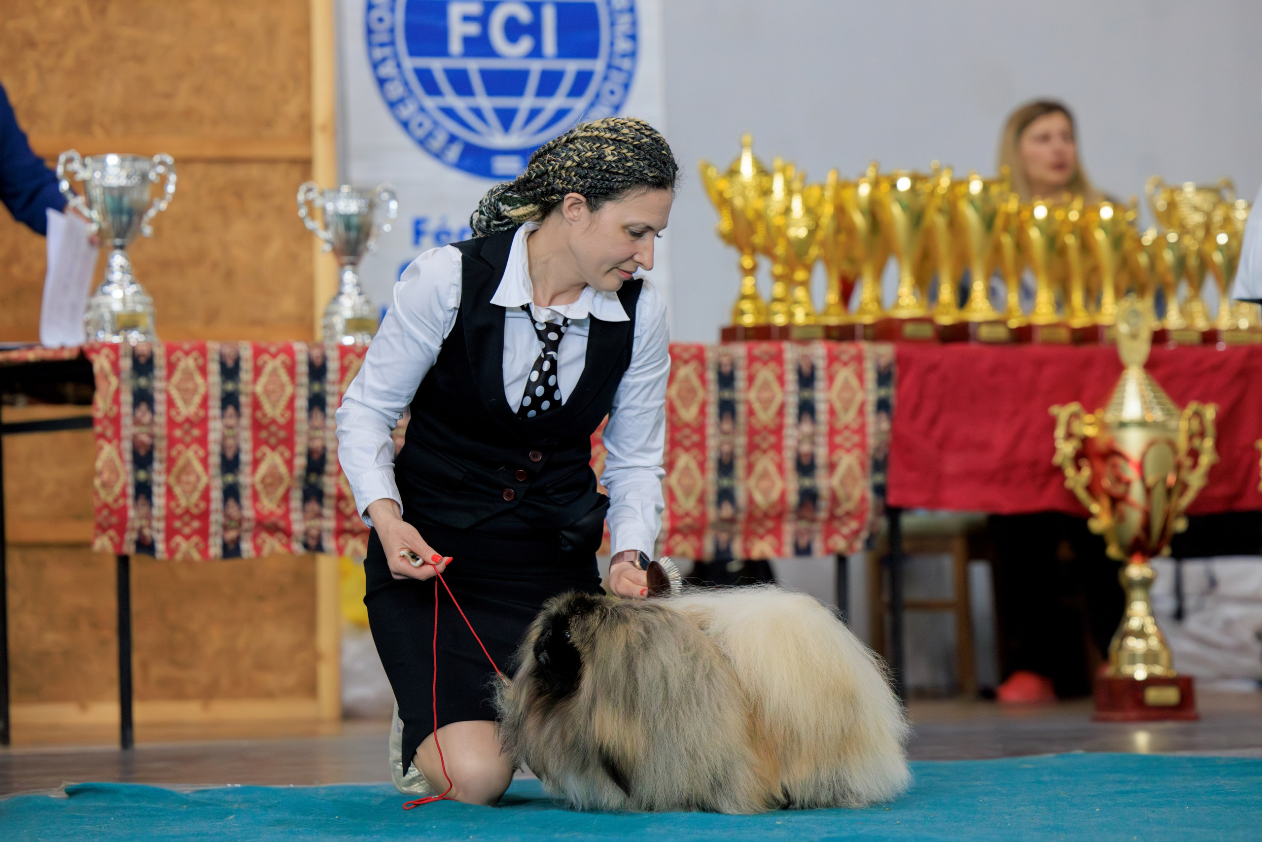 Ереван 2х CACIB 29-30.04.2025. Фотограф-анималист Юлия Германика