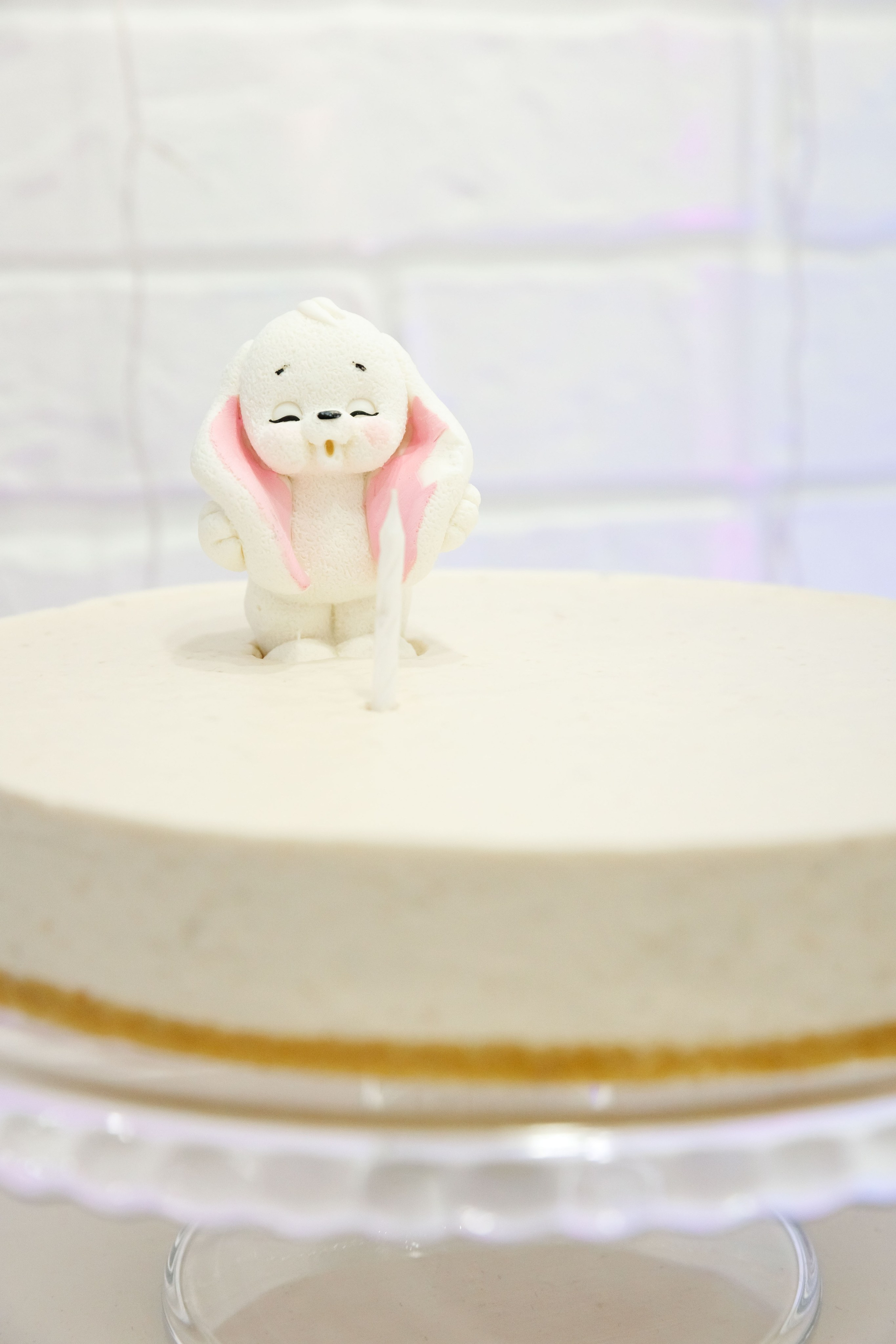 Клуб семейных развлечений Гости. Фотограф Новосибирск — Наталья Гресь