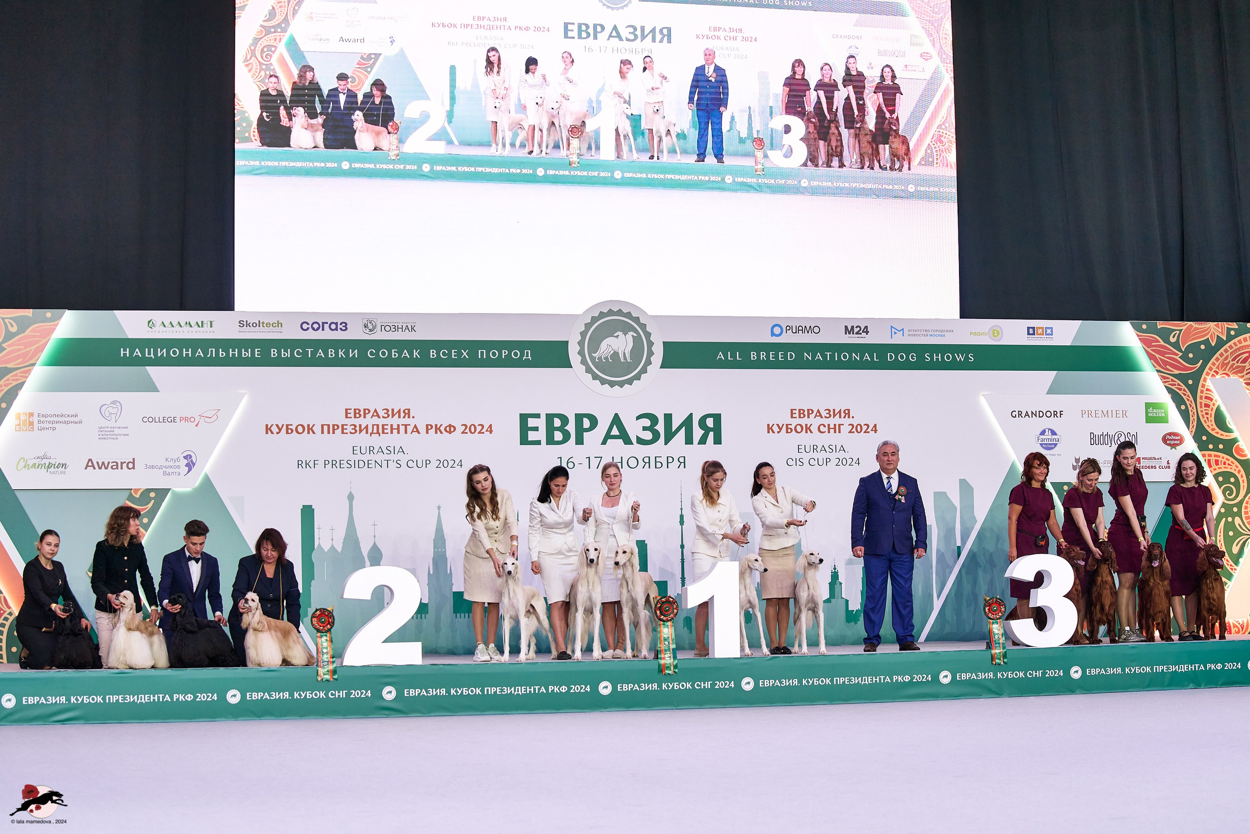 17.11.2024 «ЕВРАЗИЯ. КУБОК СНГ 2024»