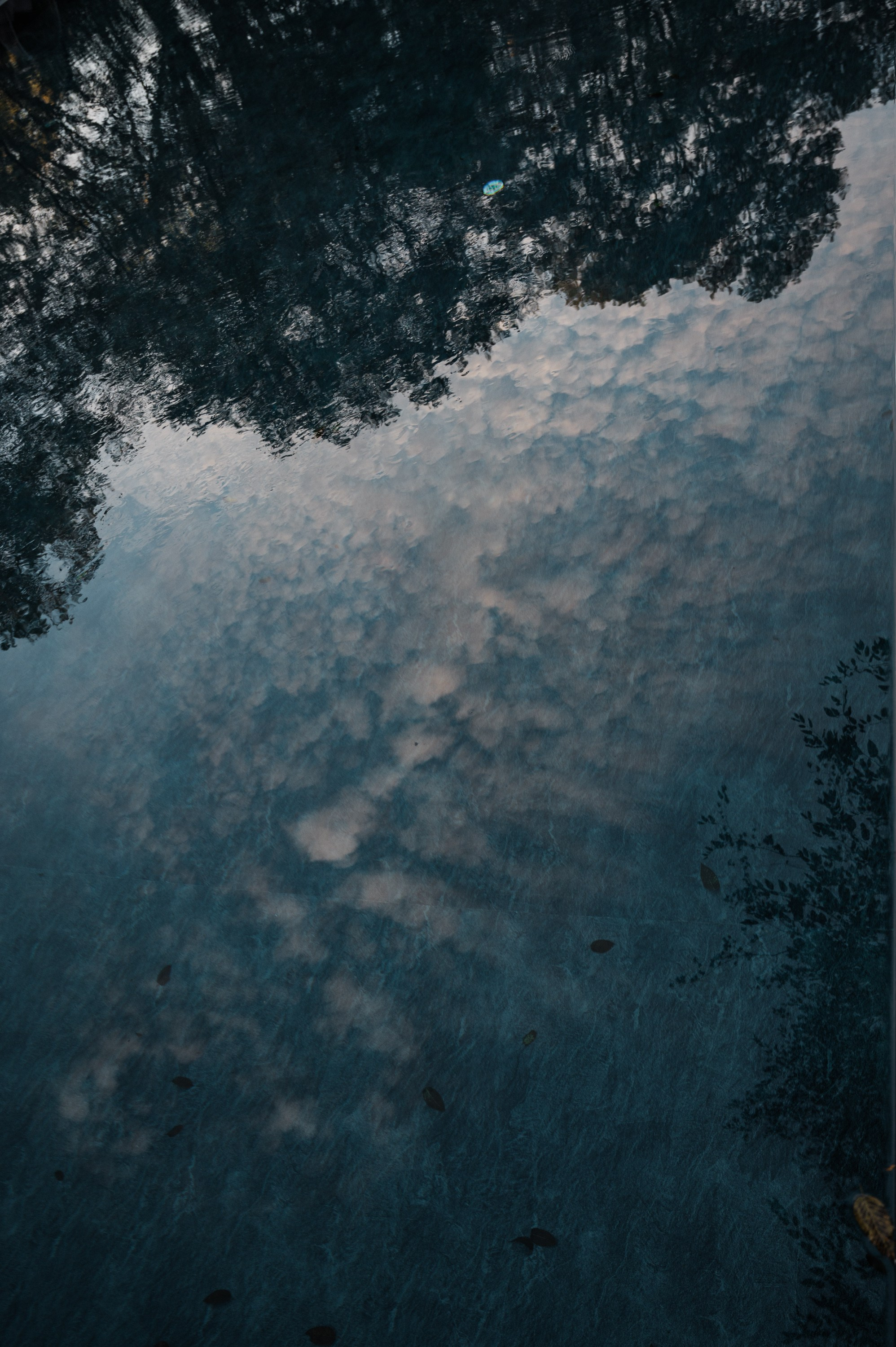 Репортажный фотограф на корпоратив и другие мероприятия. Свадебный и семейный фотограф в Краснодаре Марина Стёпа