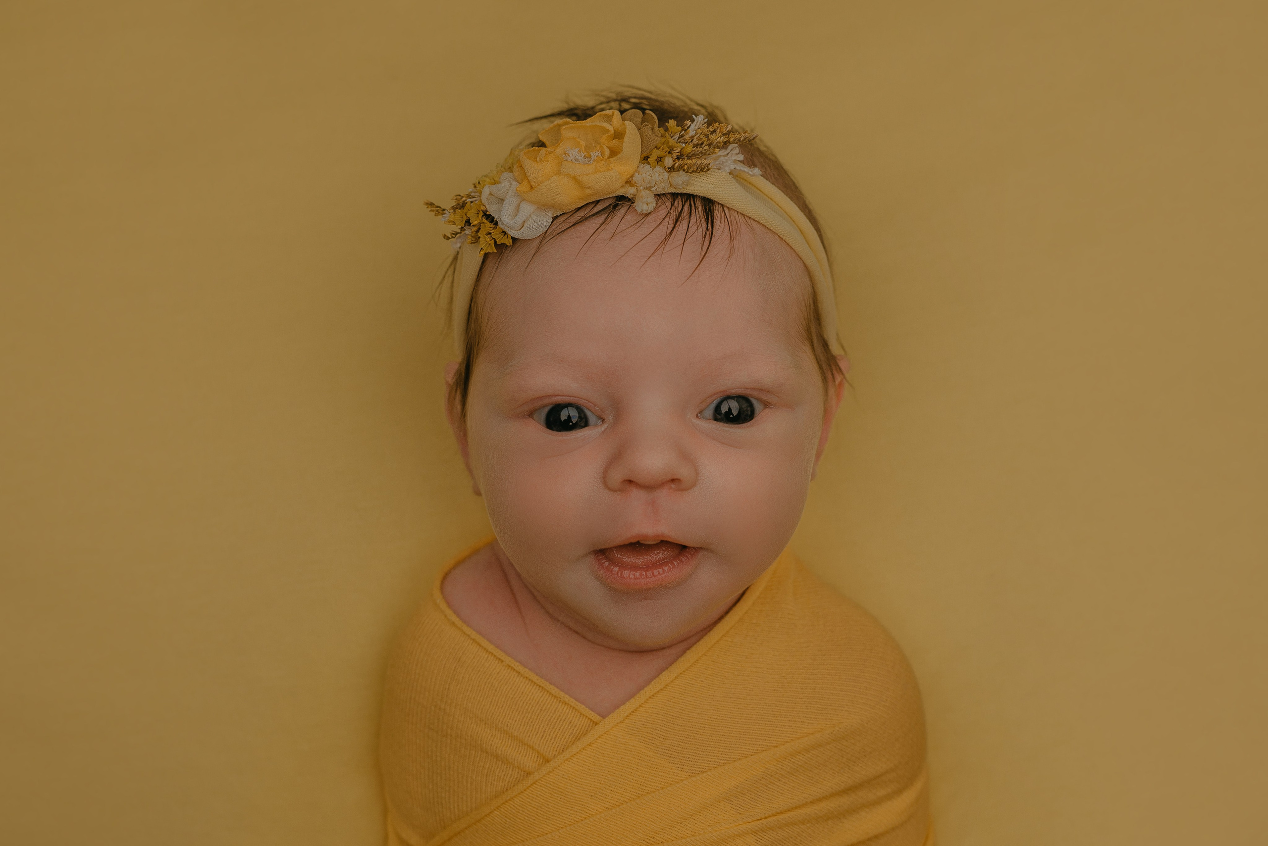 Василиса. Фотограф новорожденных Белгород