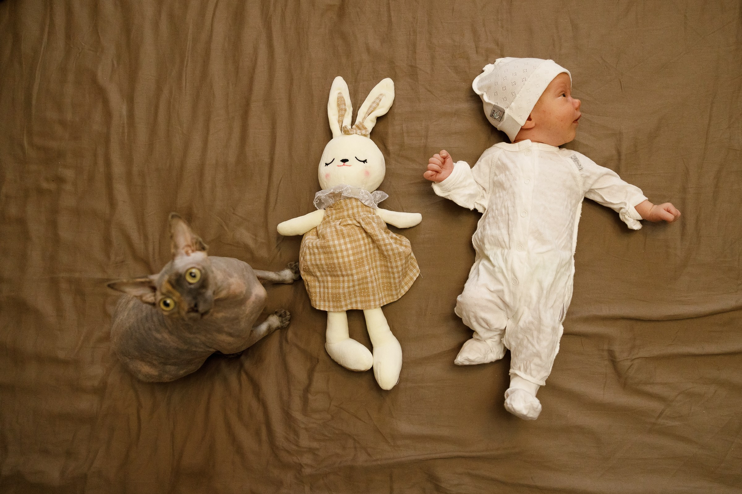 Месяц Александре. Фотограф Москва