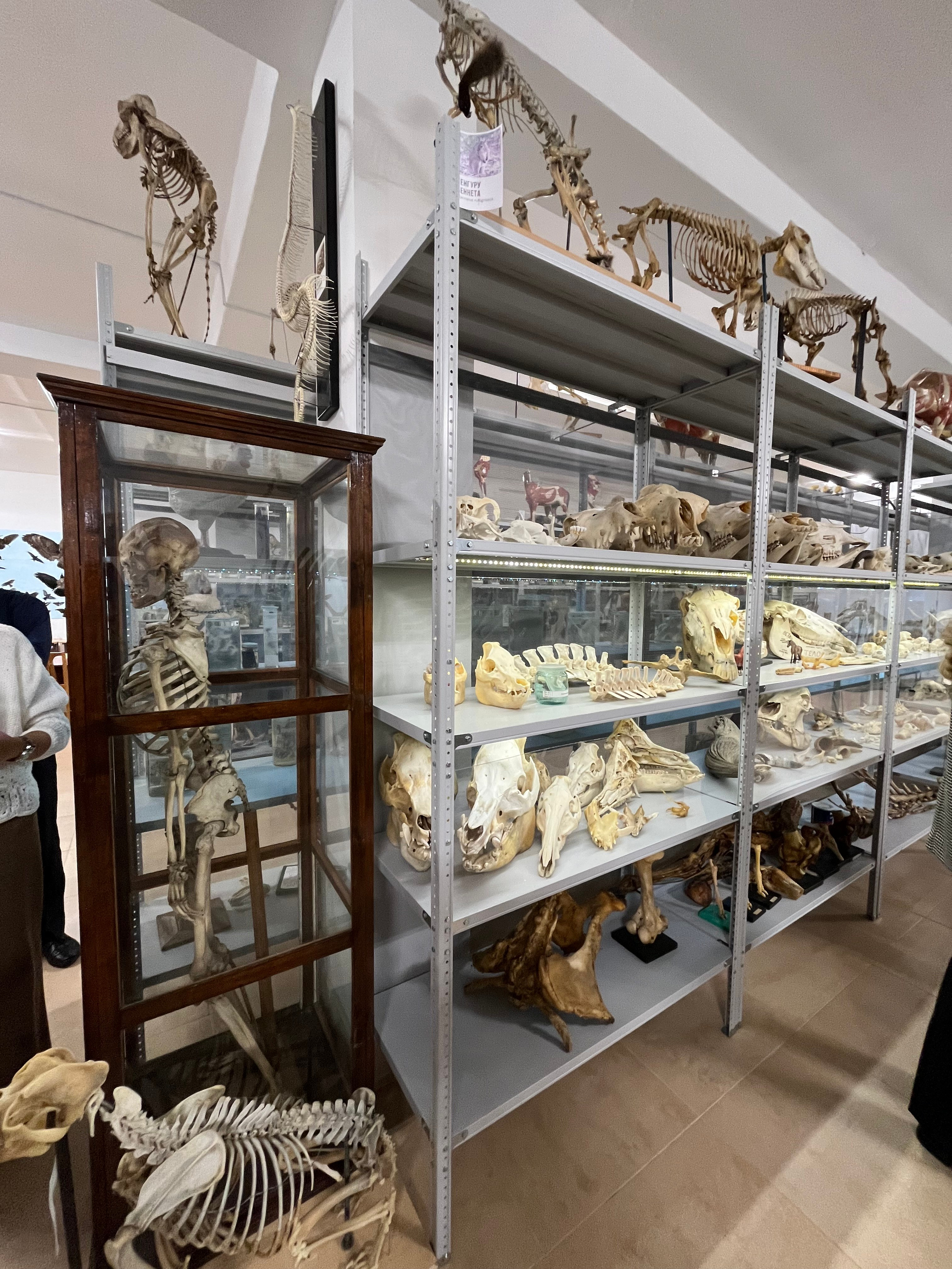 Конференции/Форумы/Выставки 2025. МОТОШКОЛА в городе Витебске. Обучение категории А и А1