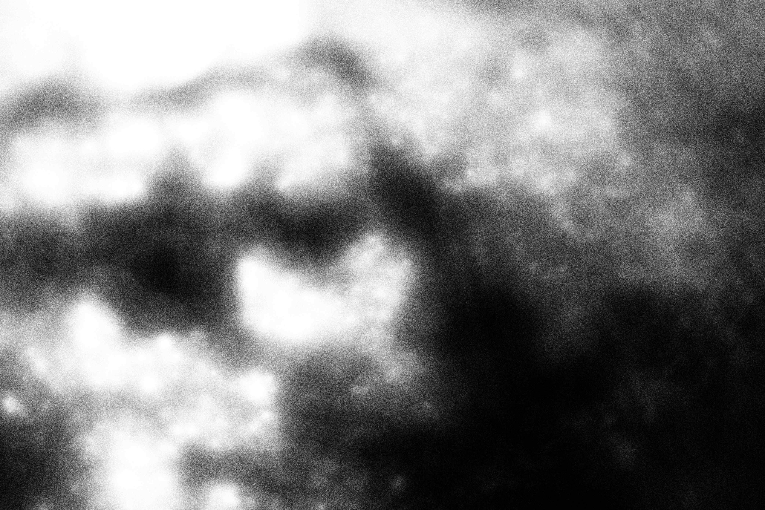 «Видеть. Чувствовать. Сохранять»