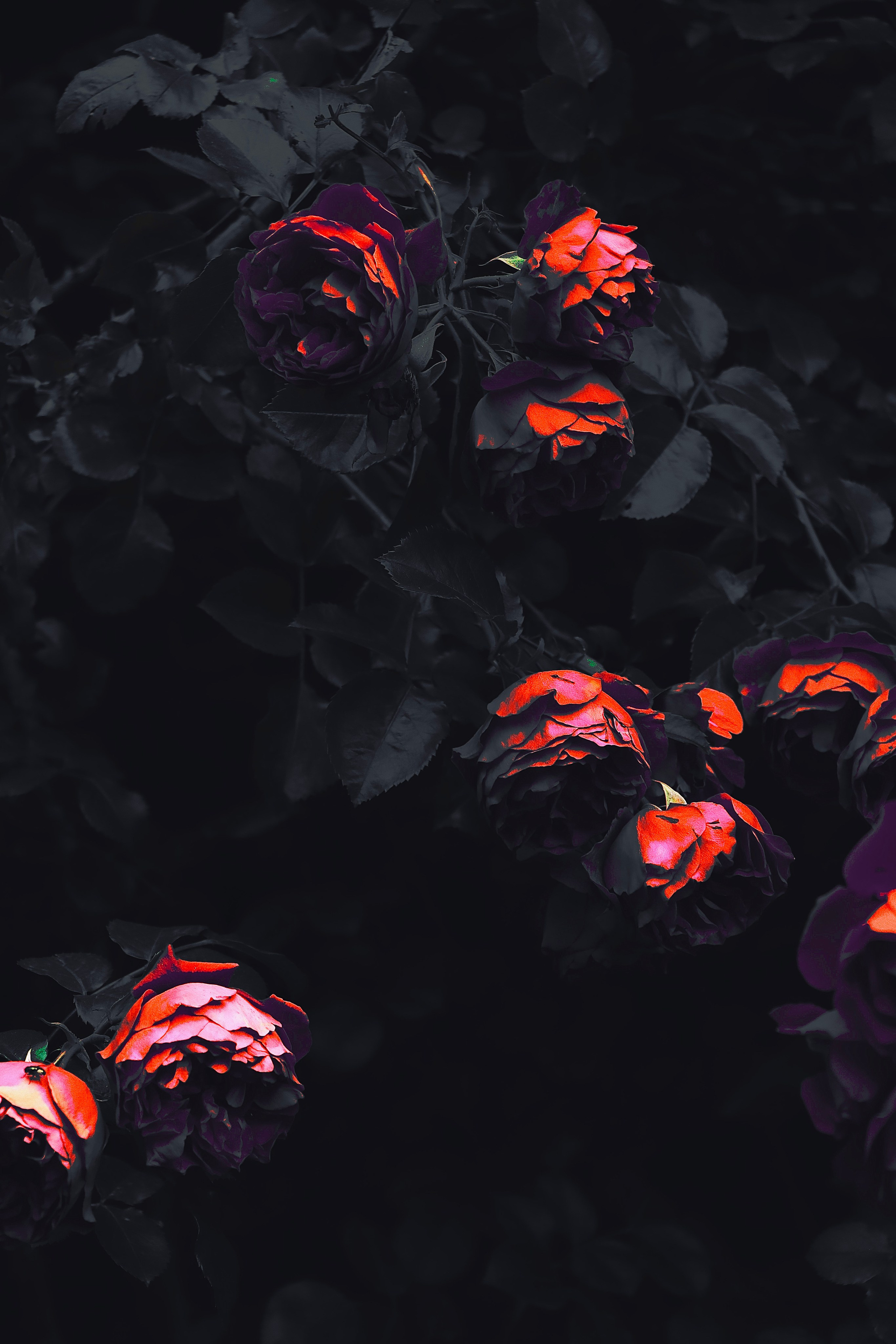 Пейзажи и прочее