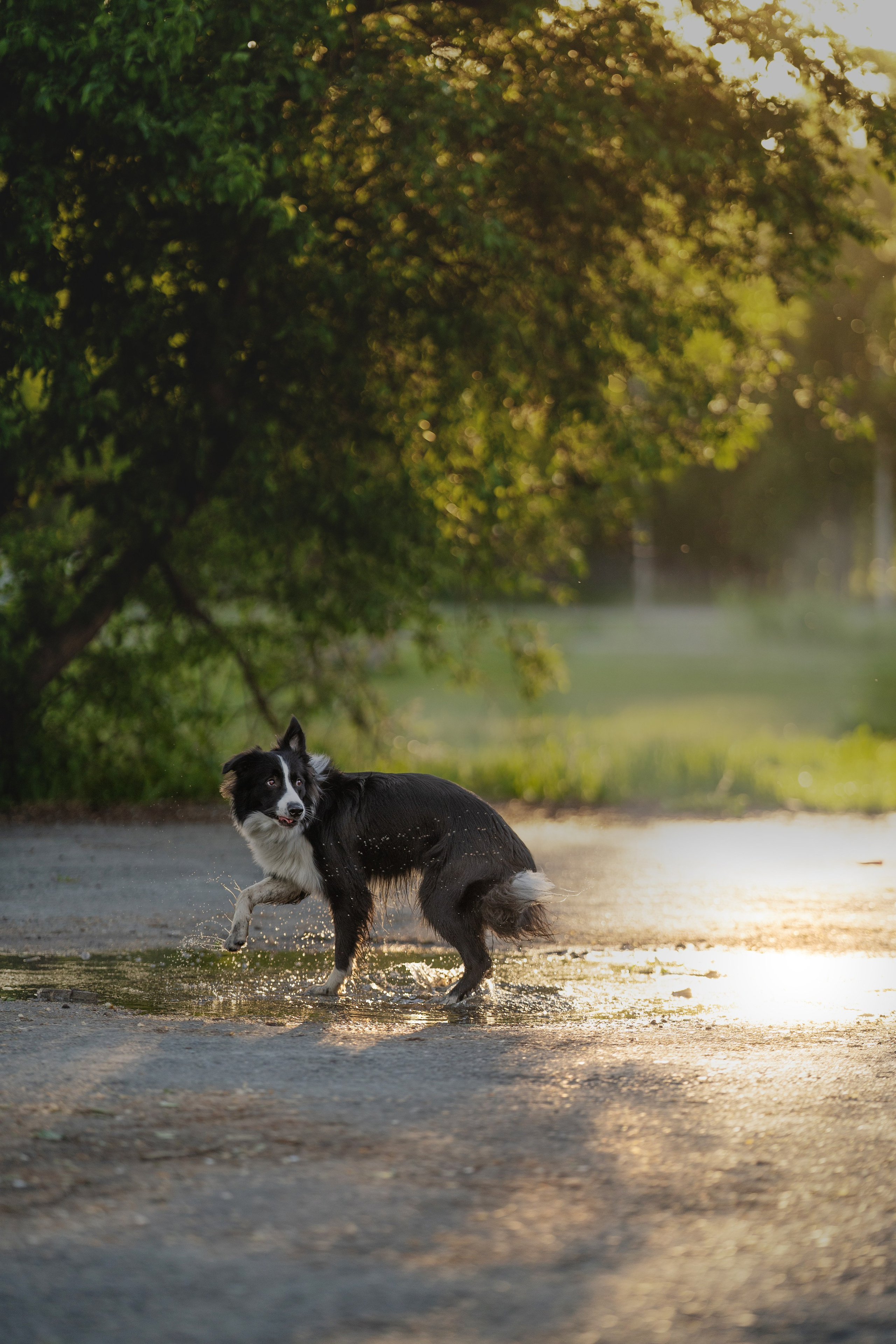 Люба + Близ (рассветная съемка). Kameramotor74