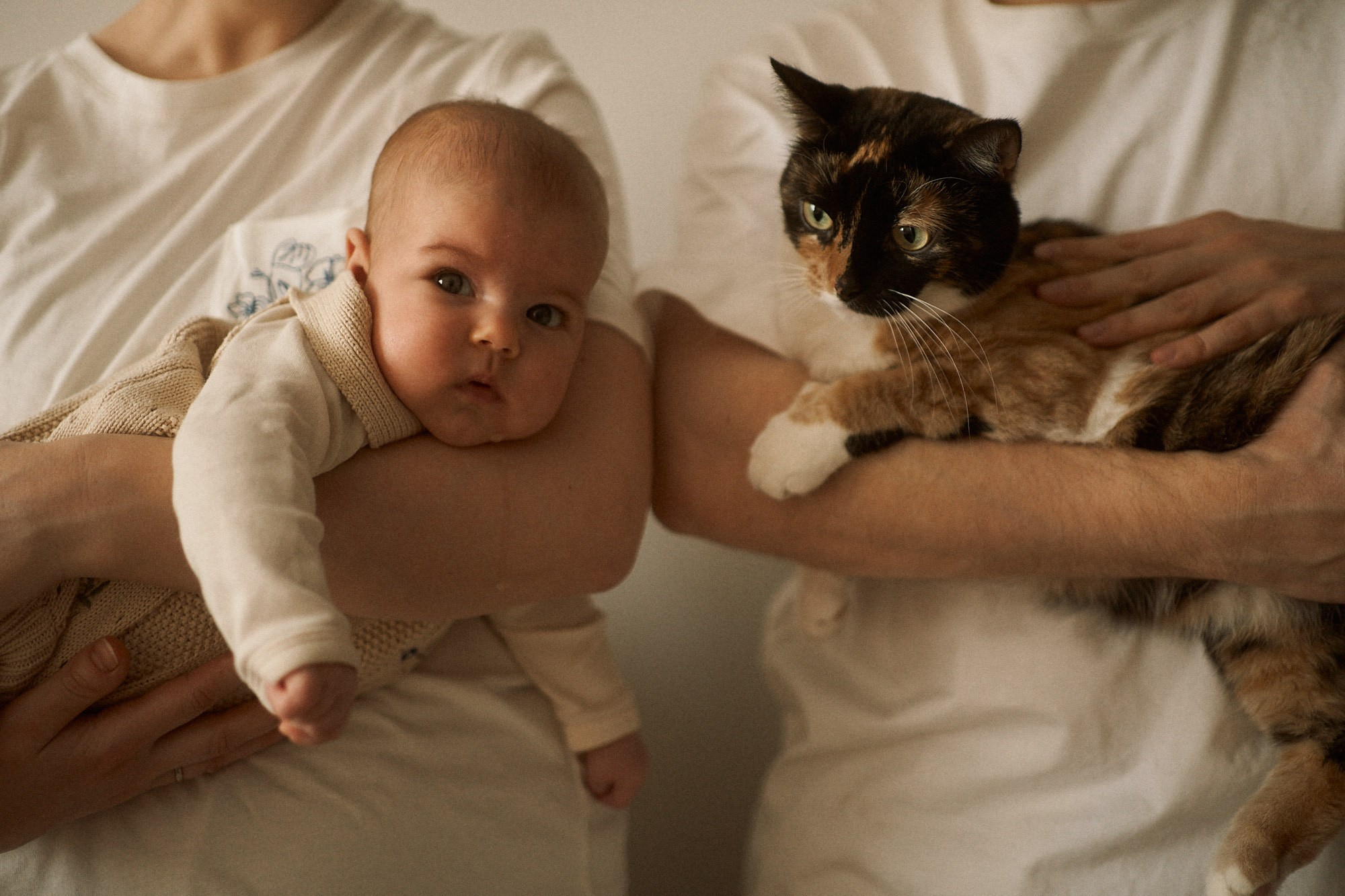 Вася, Даша и Нина. Фотограф анималист Москва Дарья