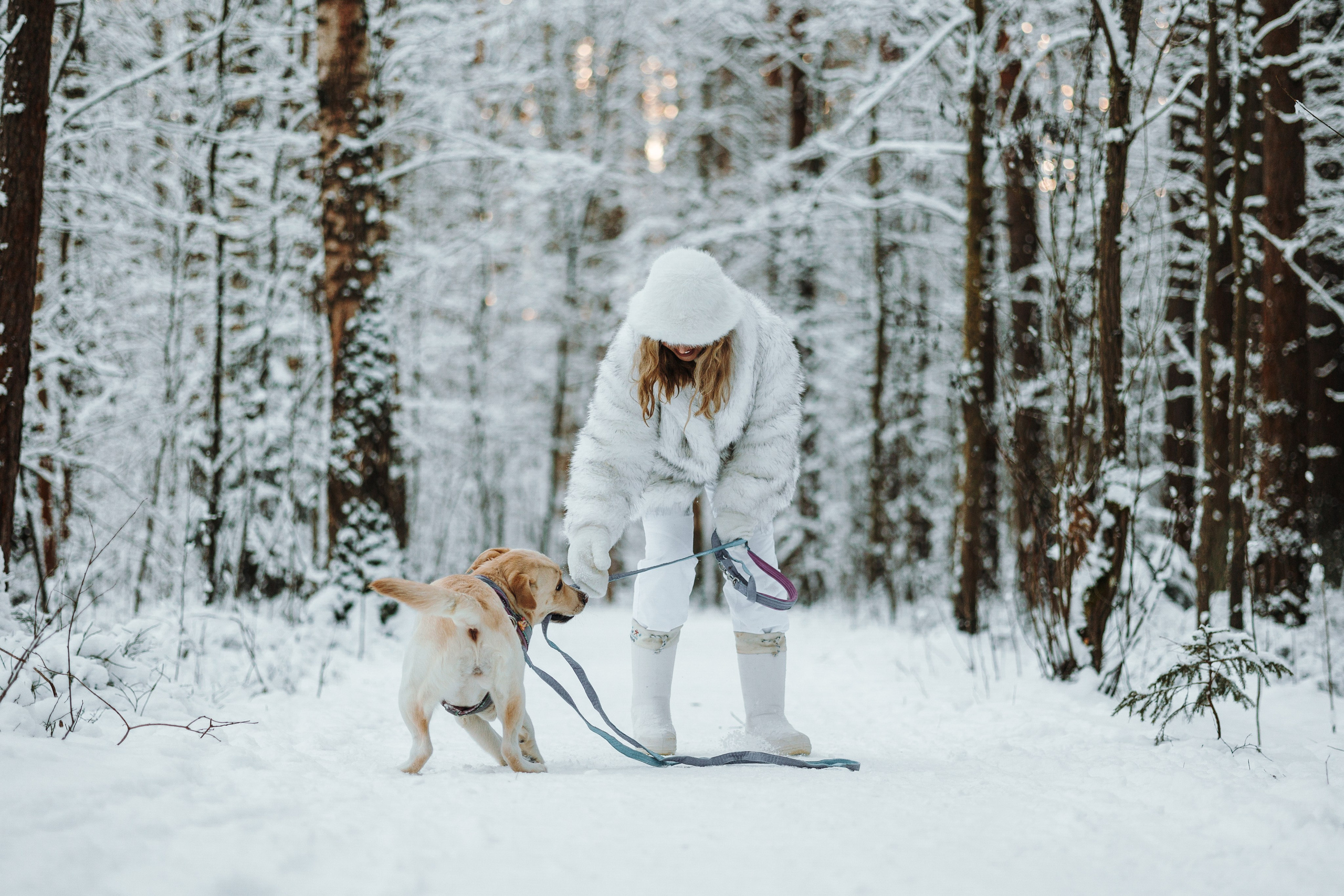 Ребята и их хвостатая семейка. Фотограф — Анималист | Санкт-Петербург