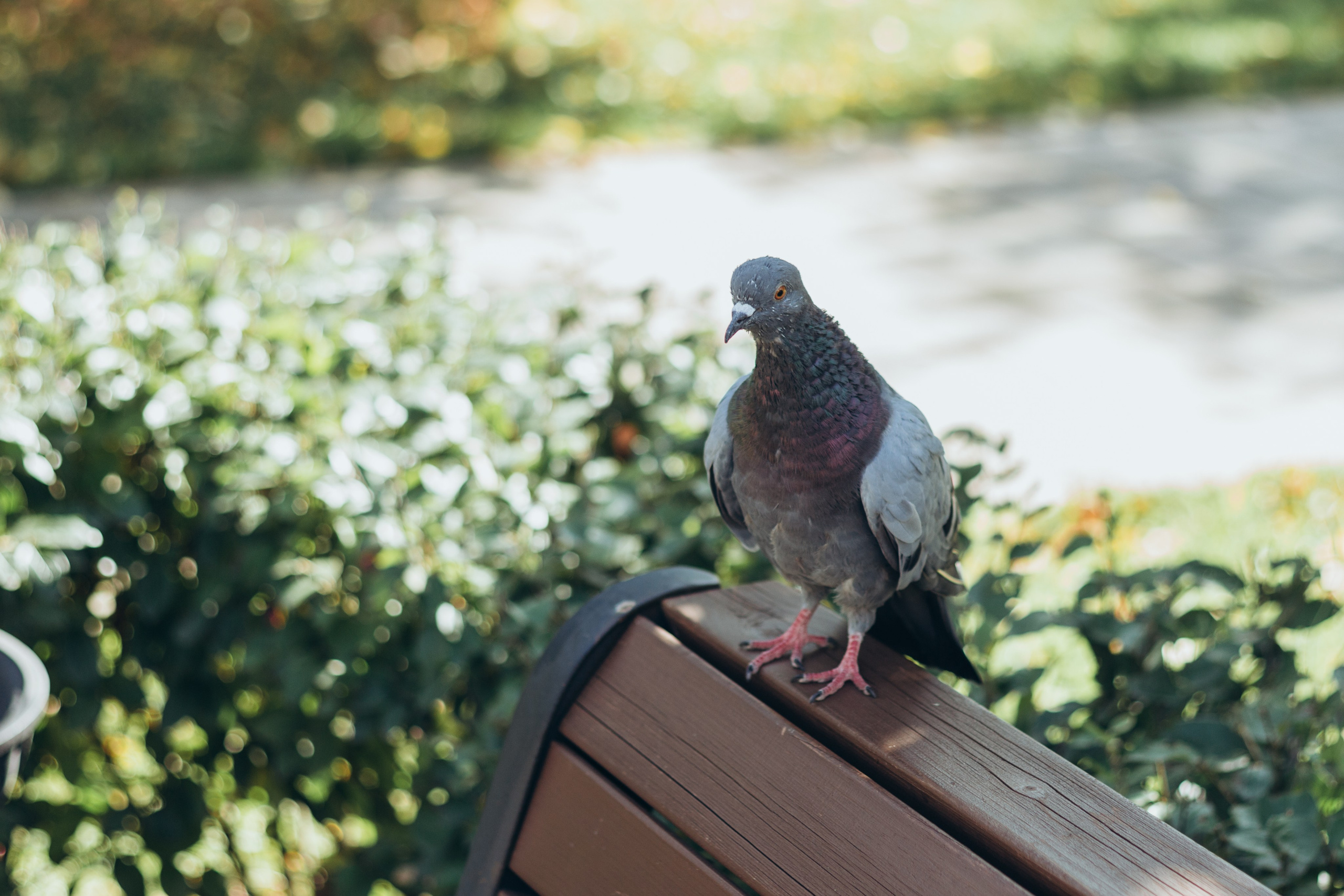 Фотопрогулка. Аржана. Фотограф в Екатеринбурге Пойгина Елена