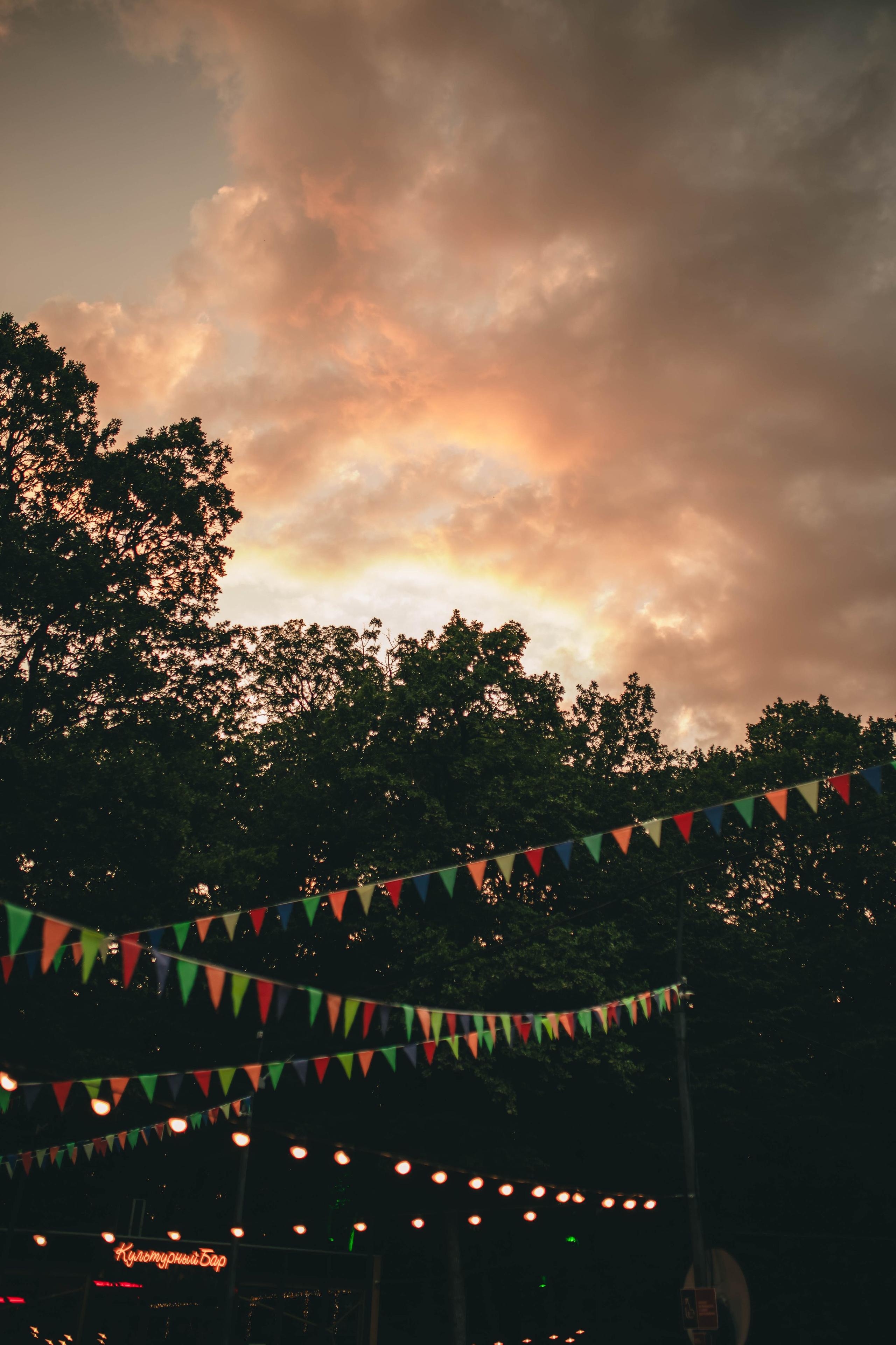 Pet-Party + Live-music |Парк Культуры. Фотограф в Ставрополе Алина Клочкова