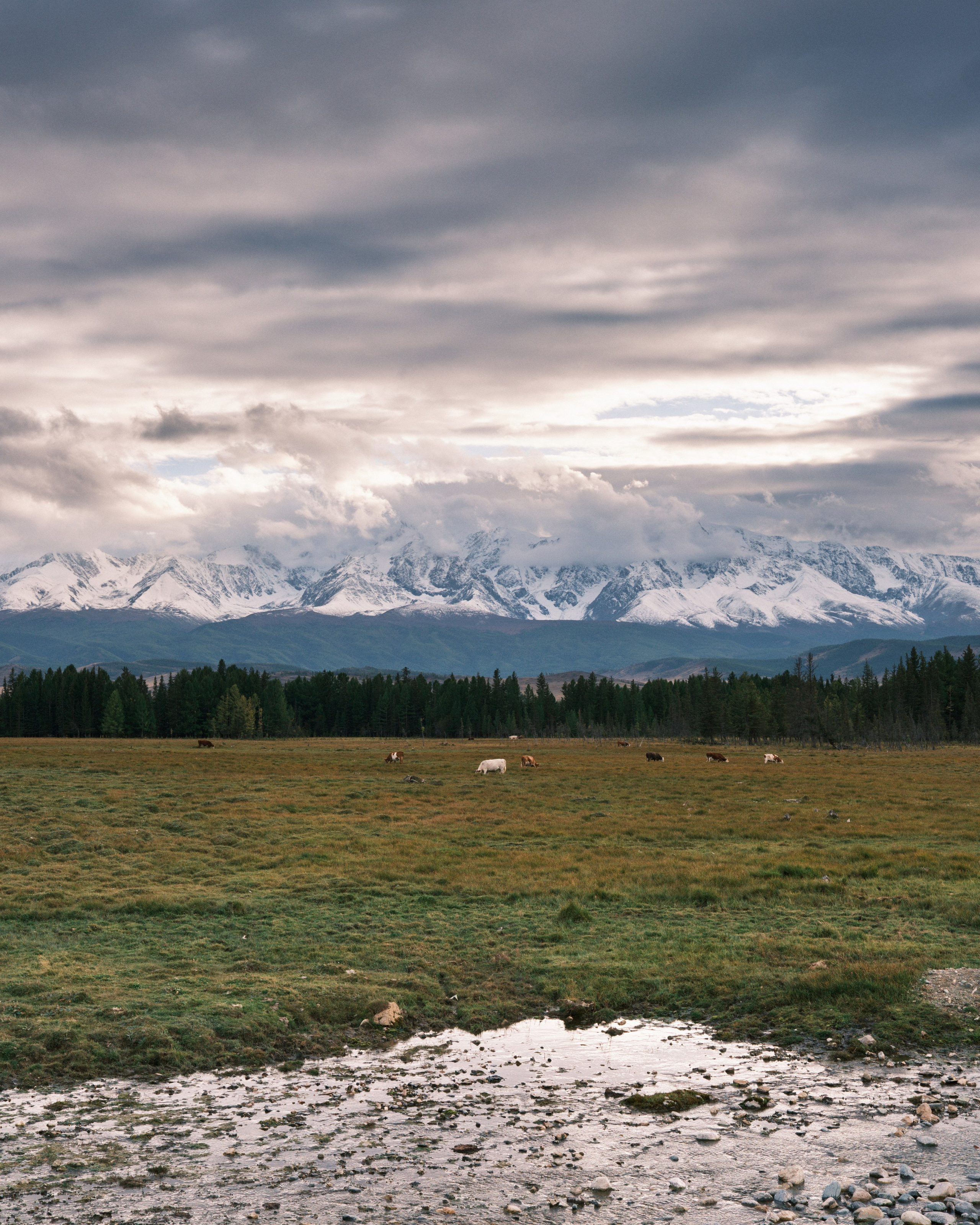 Природа. Антон Ив