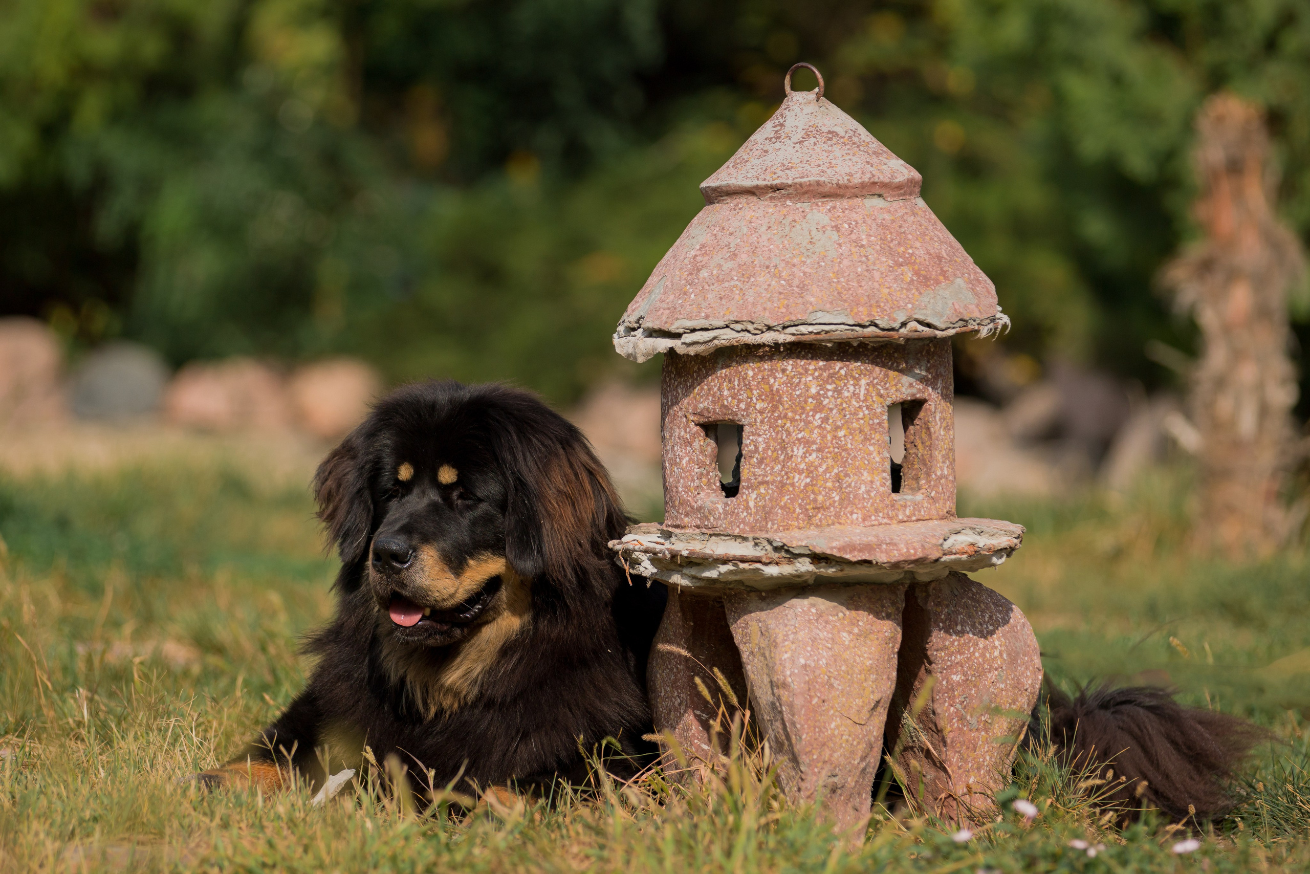 Ташкент 6-8.10.2023 + Алматы 14-15.10.2023. Фотограф-анималист Юлия Германика