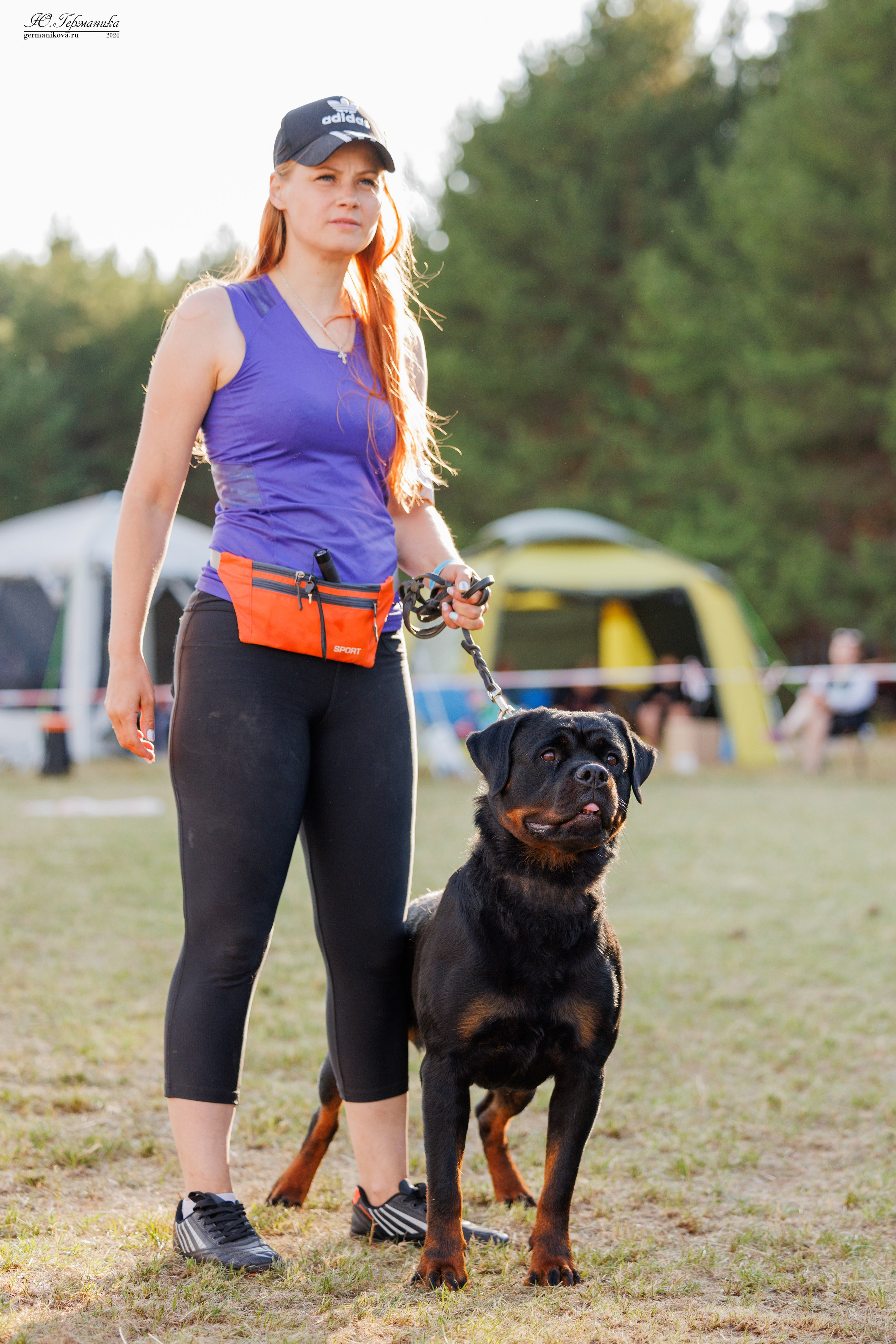 ПК и КЧК ротвейлеры Тверь 6-7.07.2024. Фотограф-анималист Юлия Германика