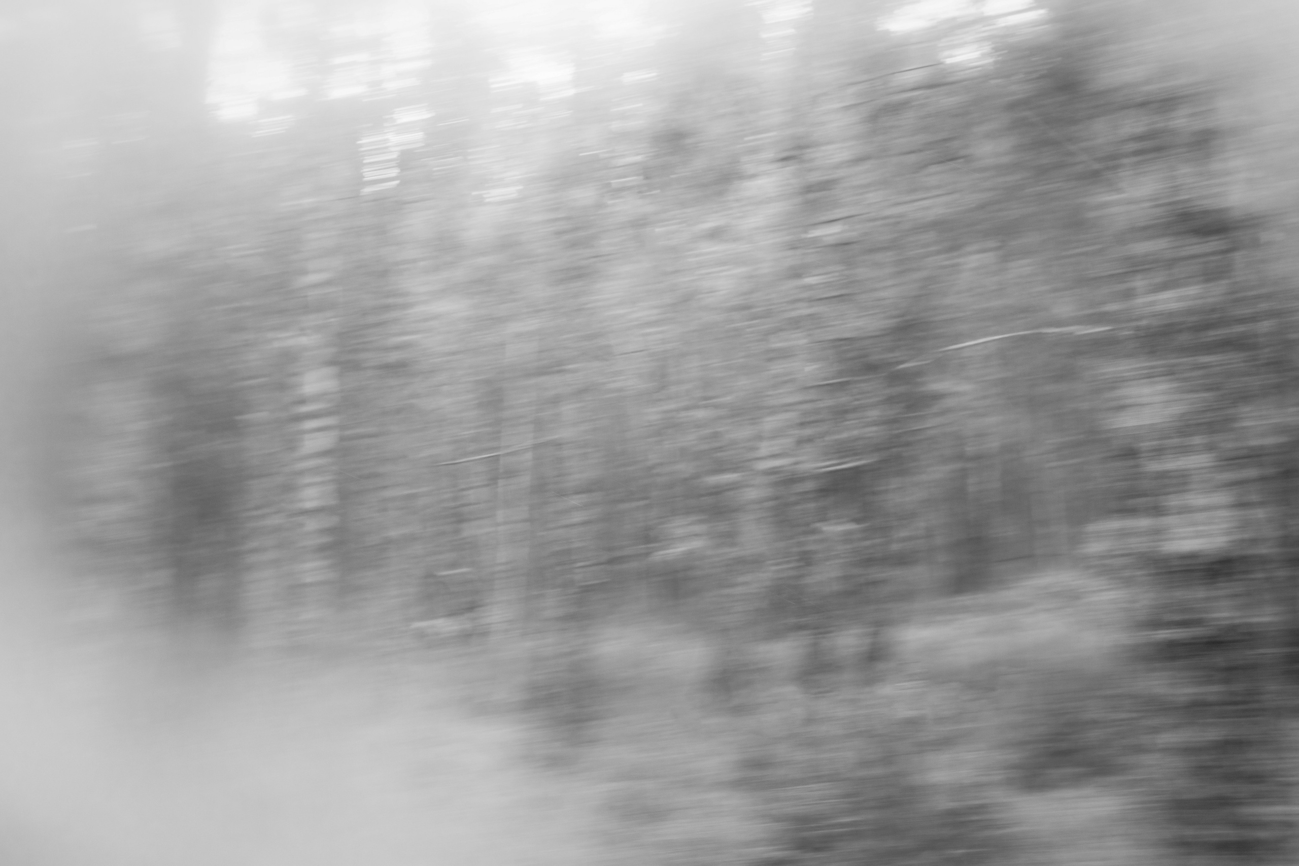 Кимрские исторические тракты: Ильинское кольцо 2026. Профессиональный фотограф, фотохудожник, видеограф из Москвы