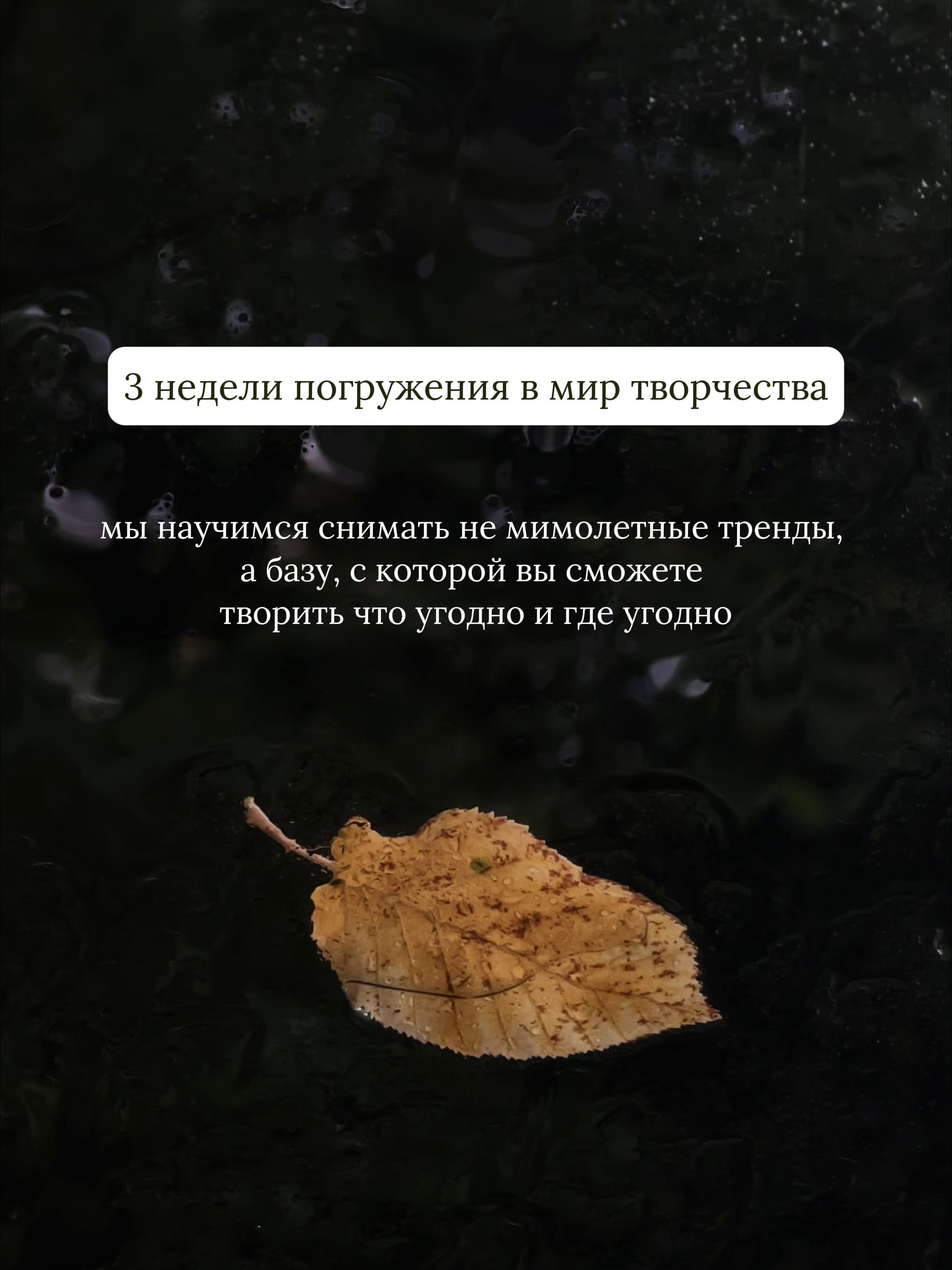 Осенний марафон 2026. Мобильный фотограф и видеограф Сочи