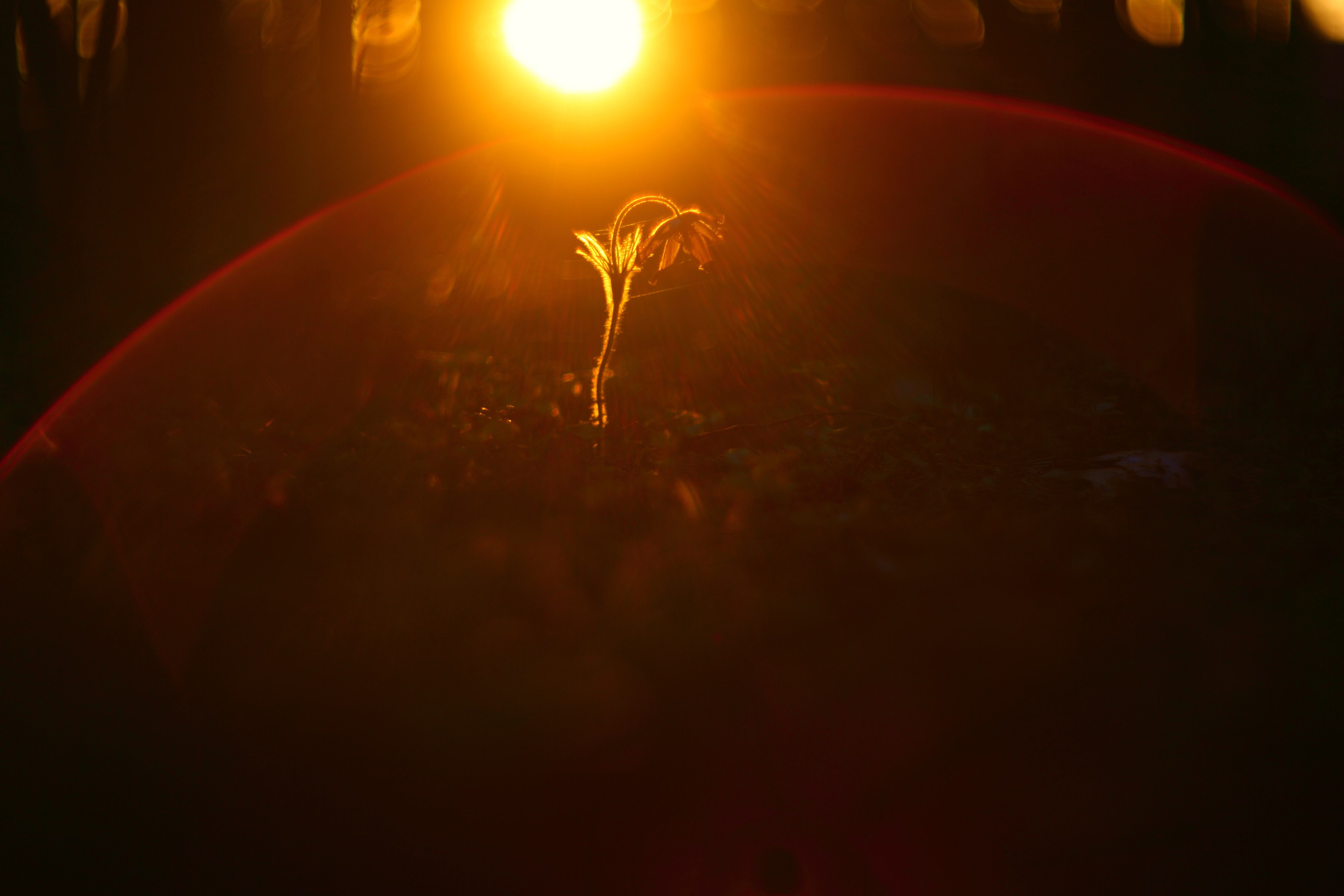 Средняя полоса. Свадебный и репортажный фотограф в Ярославле и Санкт-Петербурге Роман Микрюков