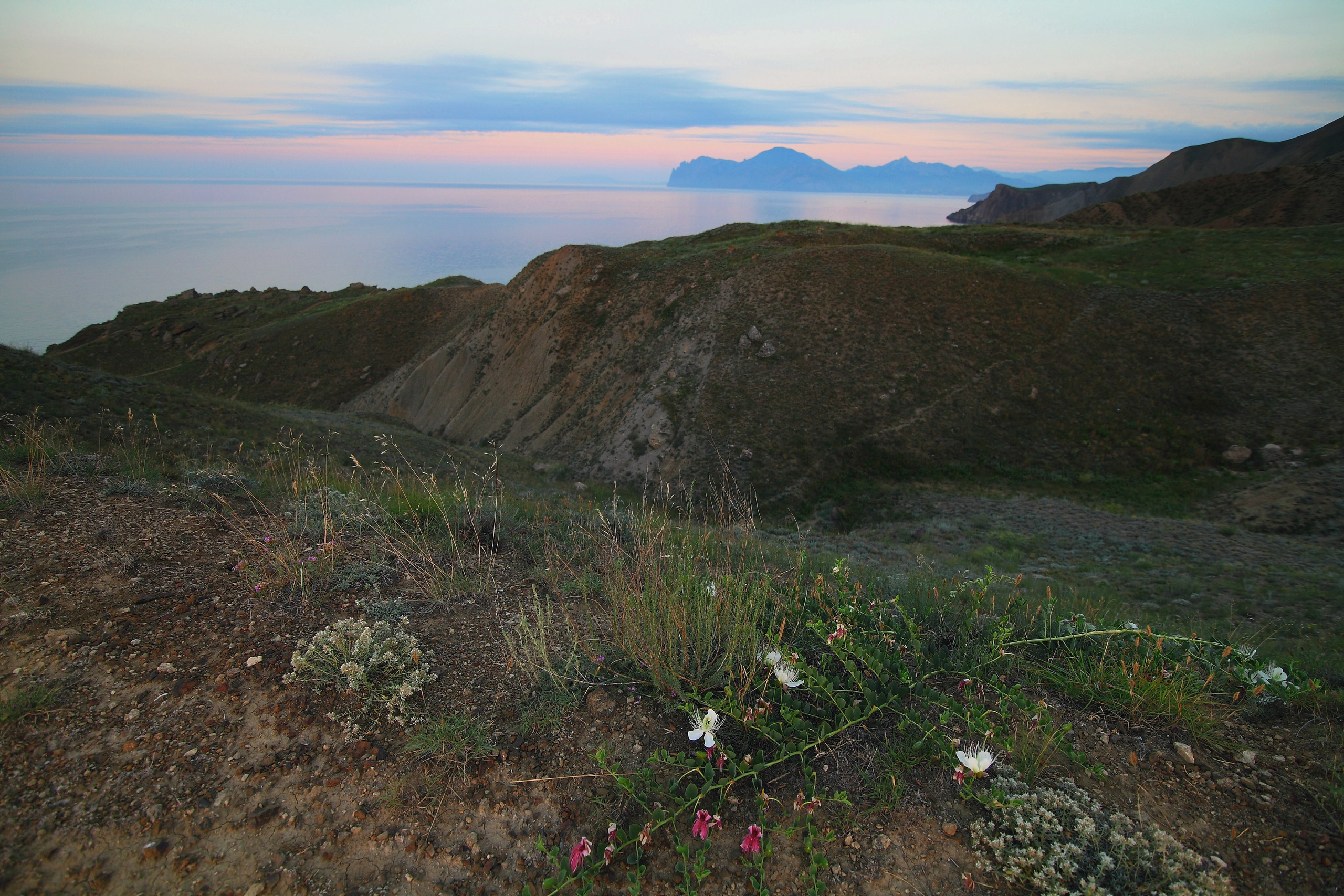 Крым. Свадебный и репортажный фотограф в Ярославле и Санкт-Петербурге Роман Микрюков