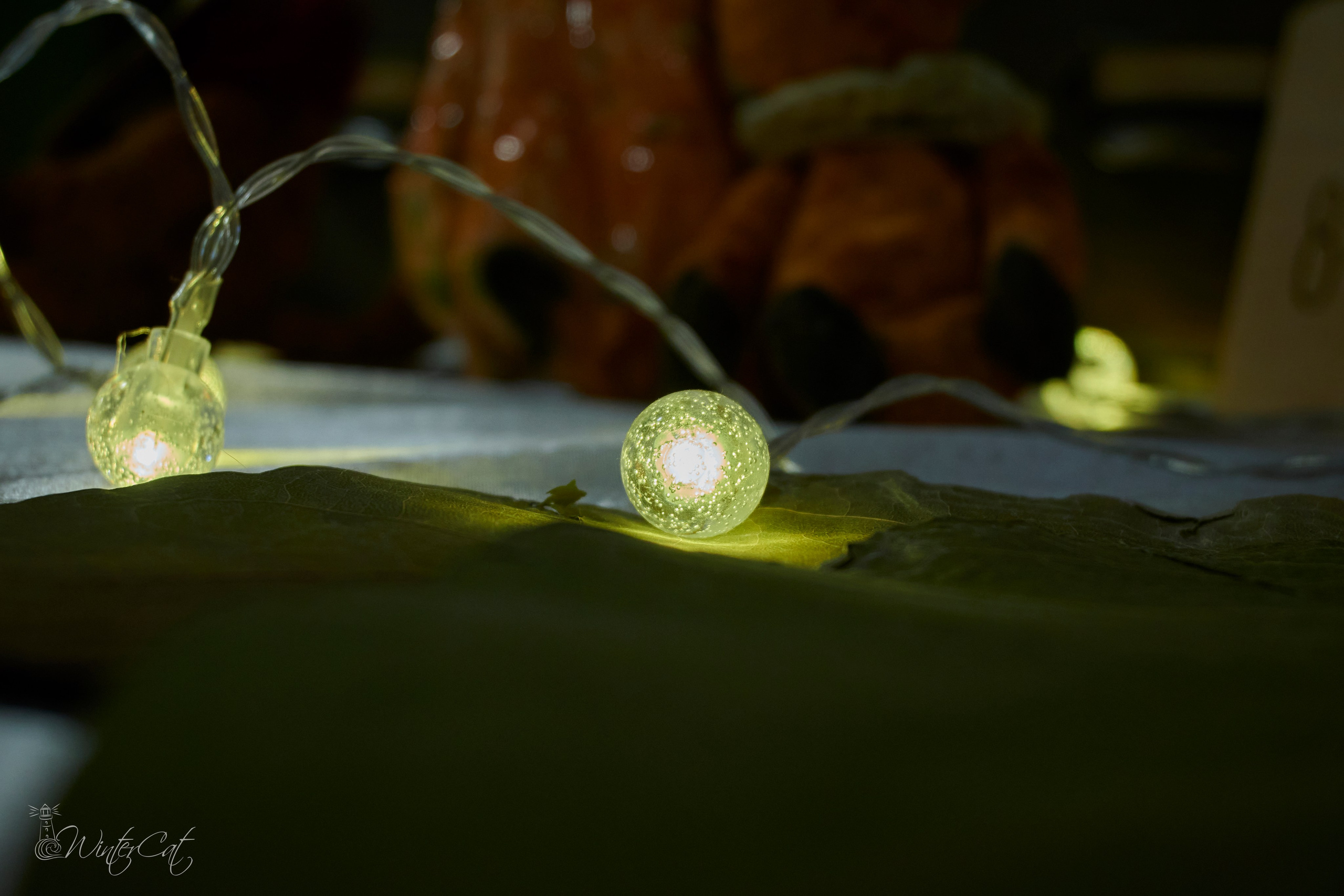 Арт Маркет 12.10.24. Портретный и репортажный фотограф в Магадане Андрей Нефедов WinterCatPhoto