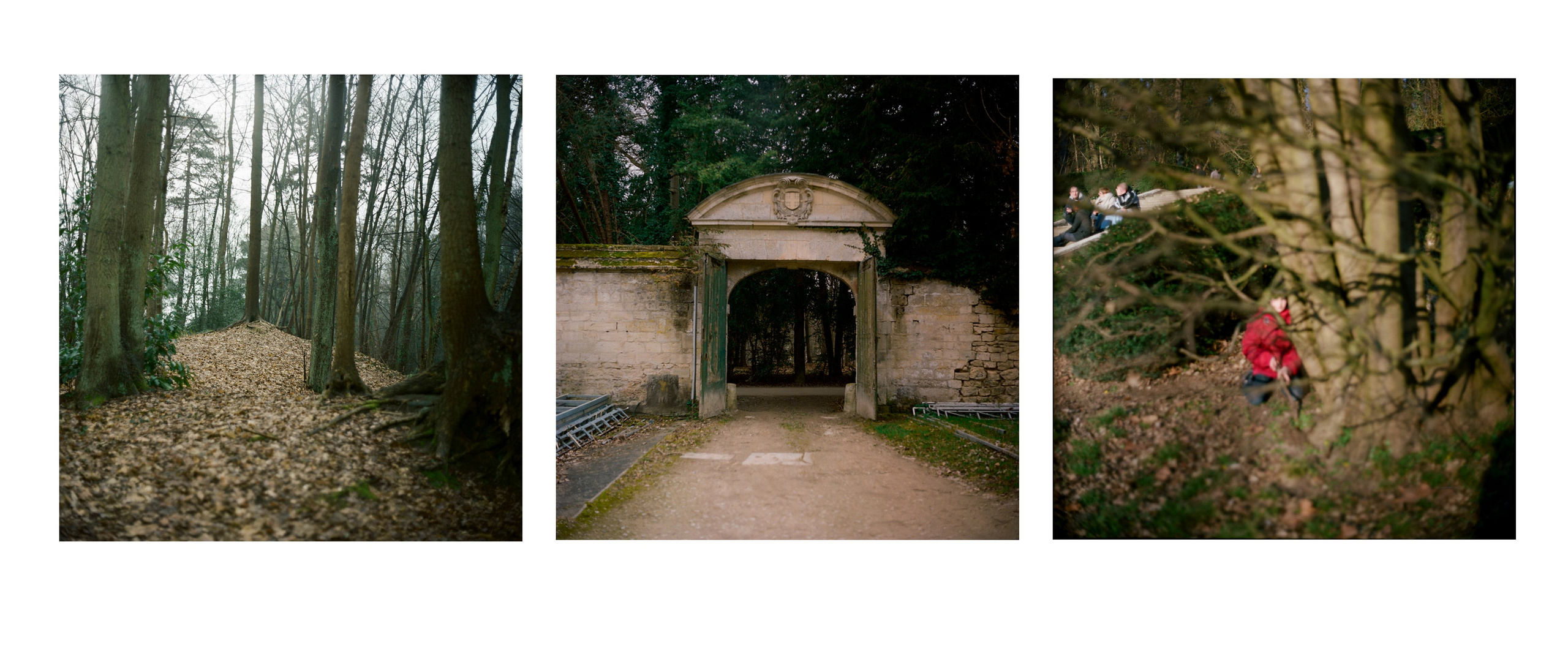 Tor. Katya Zimina, film photographer