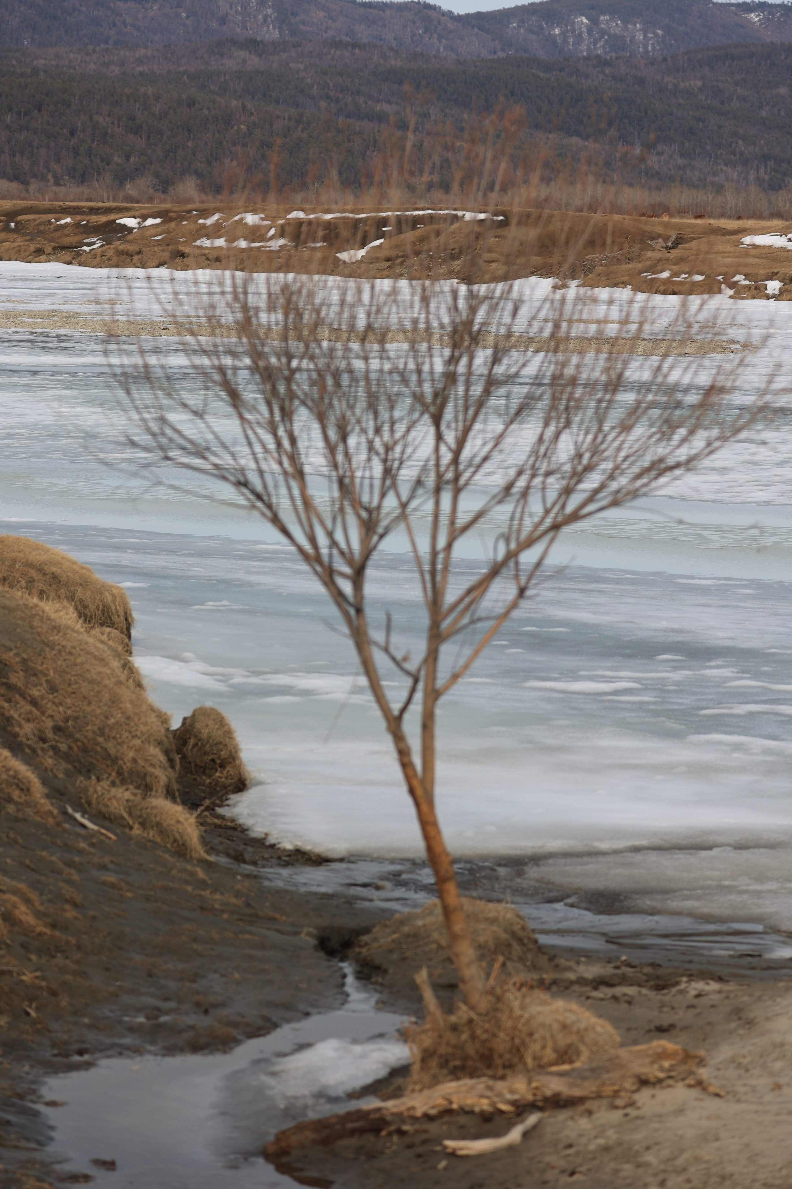 2022. Тащилин Сергей. Фотографии. Жизнь. Хобби