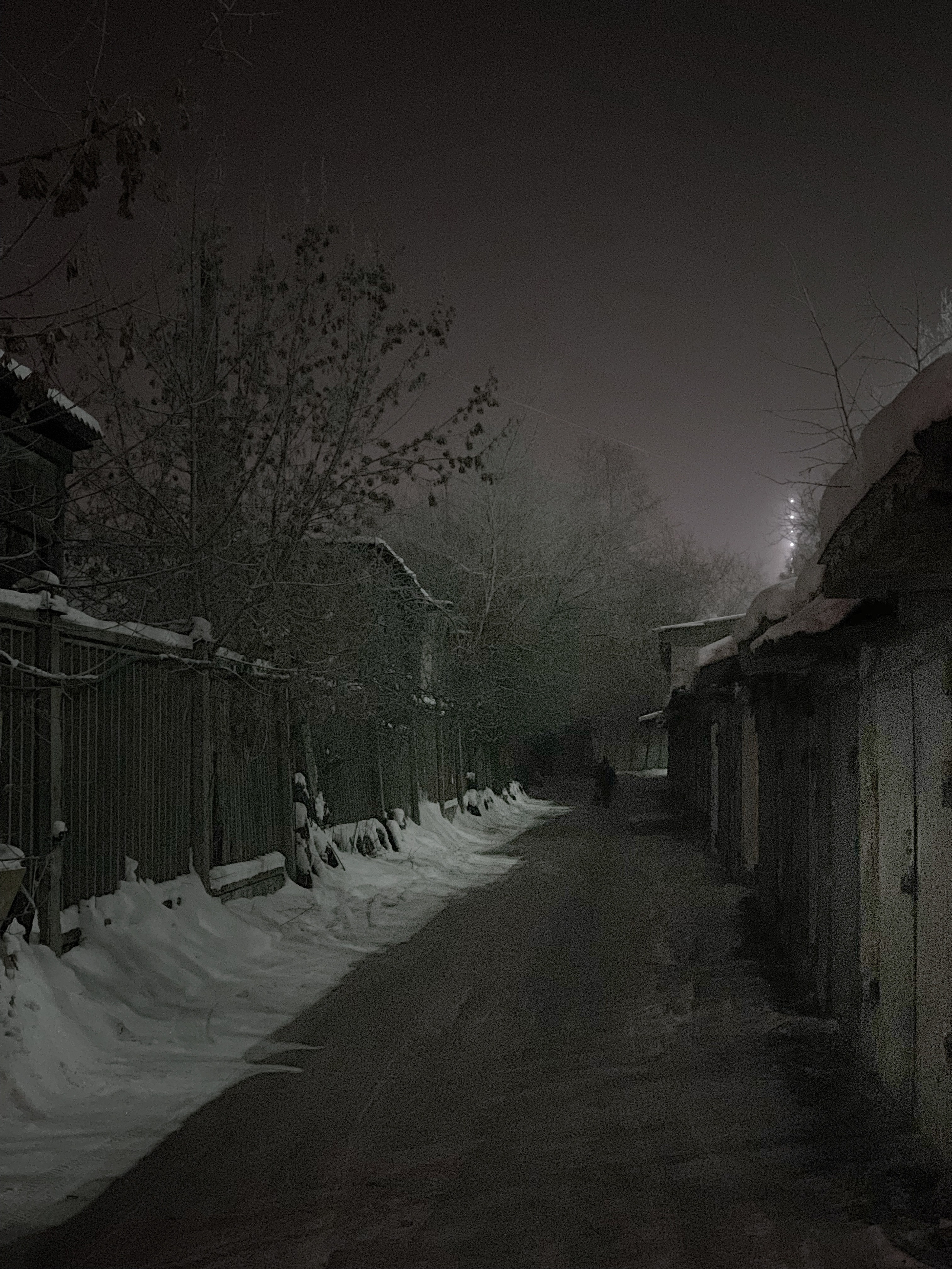 2019 год. Тащилин Сергей. Фотографии. Жизнь. Хобби