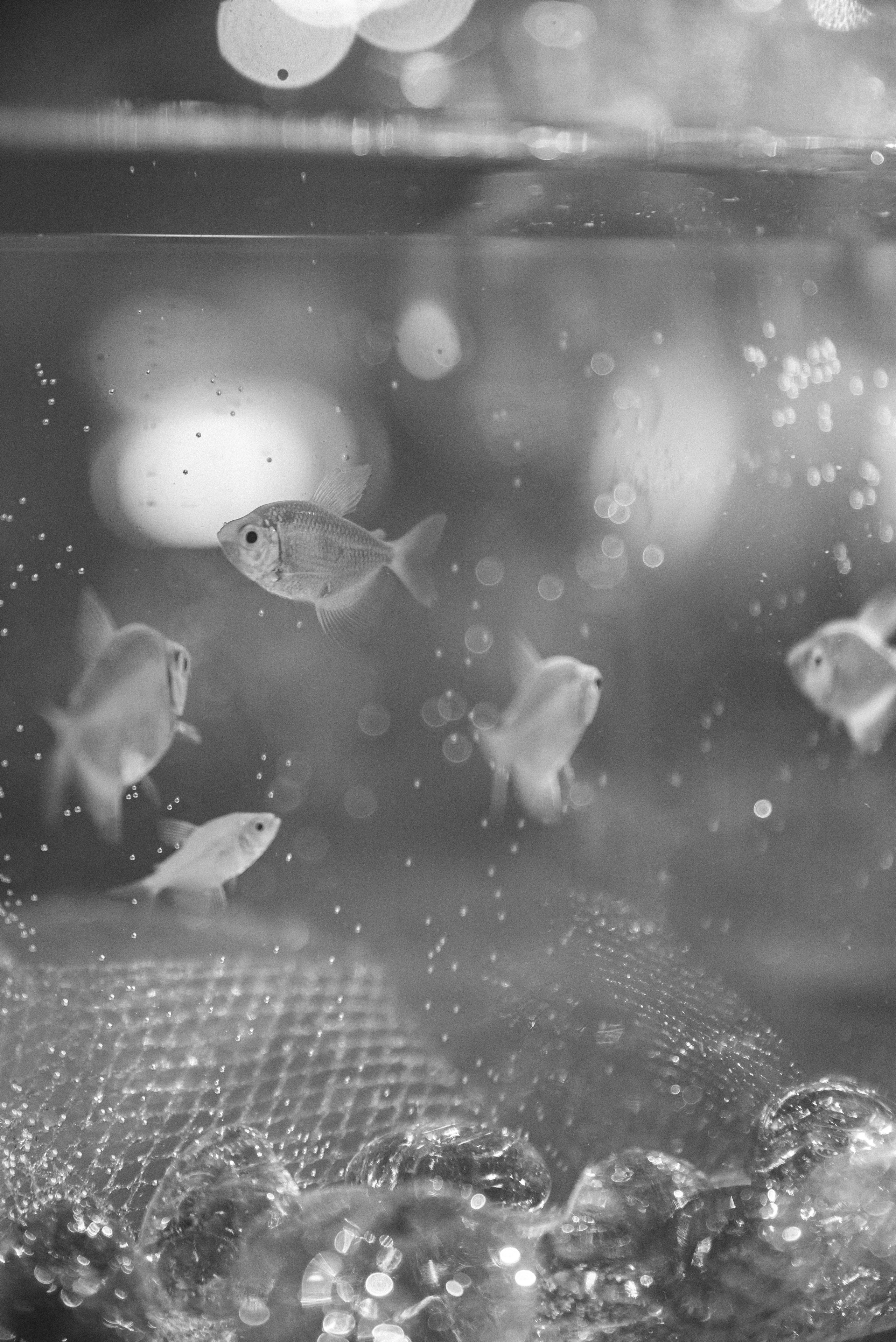 Андрей & Алёна. Свадебный, семейный, женский фотограф в Москве, Мытищах, Королёве Ксения Узилле