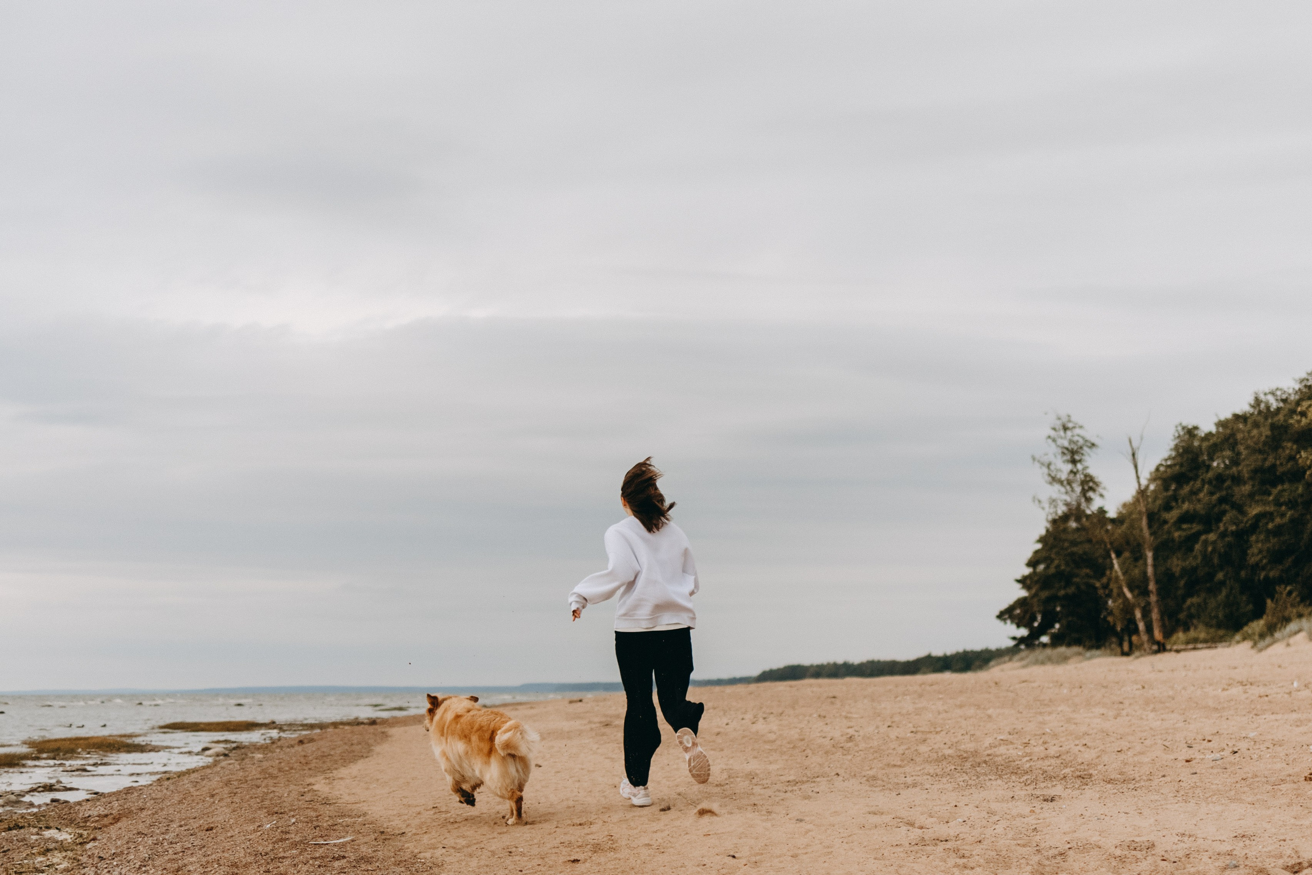 Фоси и его семьи. Фотограф — Анималист | Санкт-Петербург