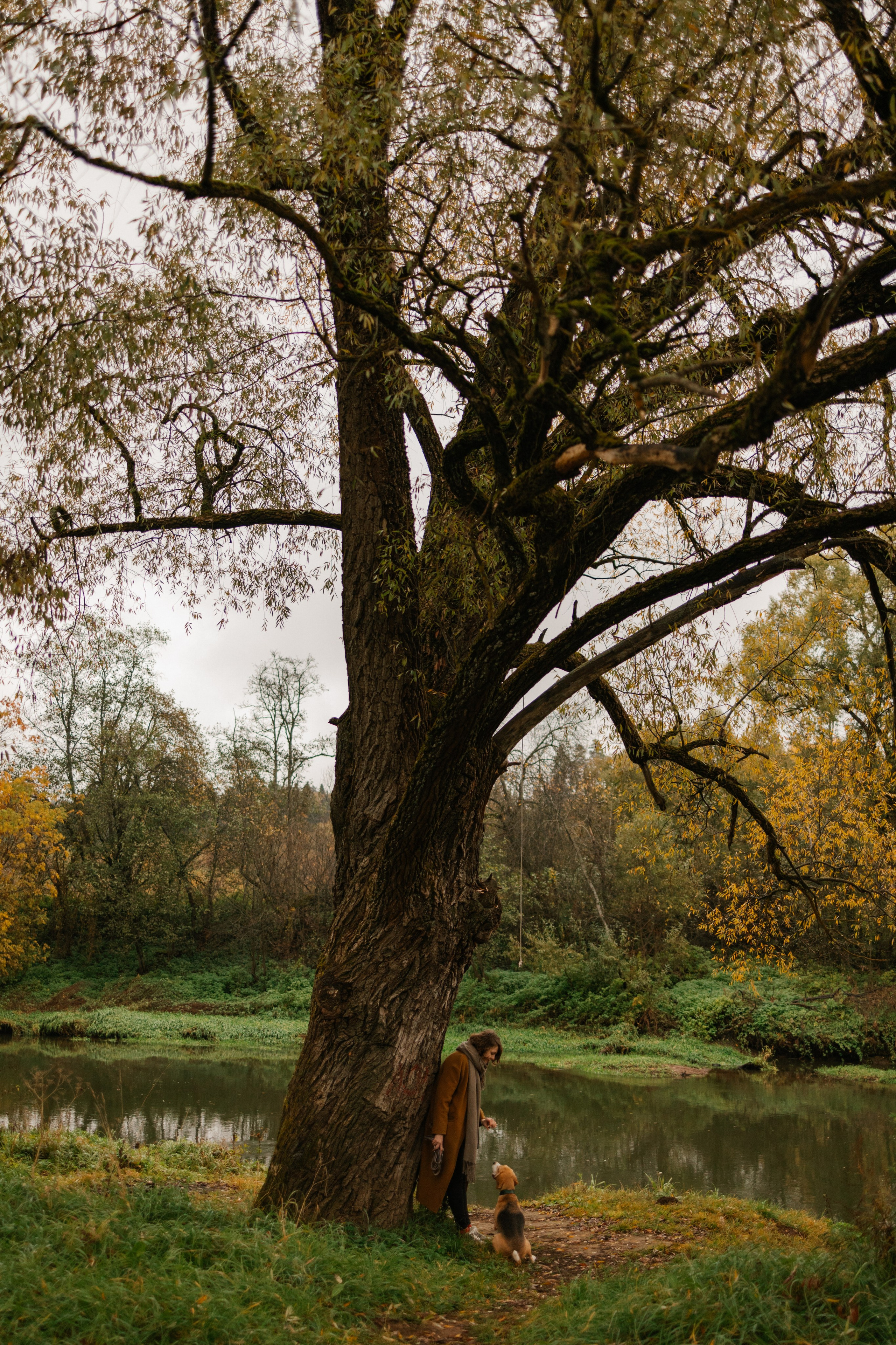 Лена и Тайгер. Фотограф — Анималист | Санкт-Петербург