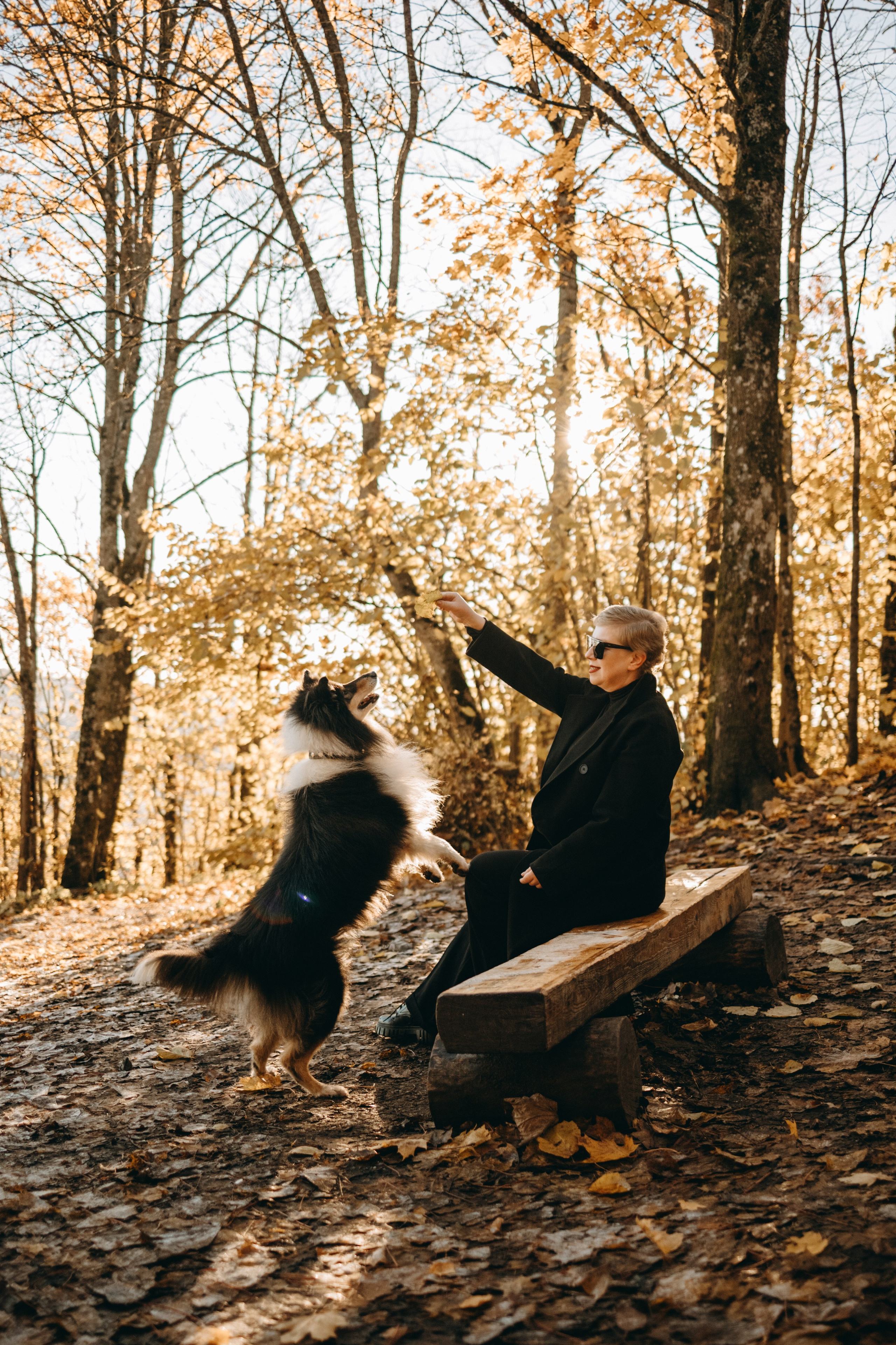 Ия и Барт. Фотограф — Анималист | Санкт-Петербург