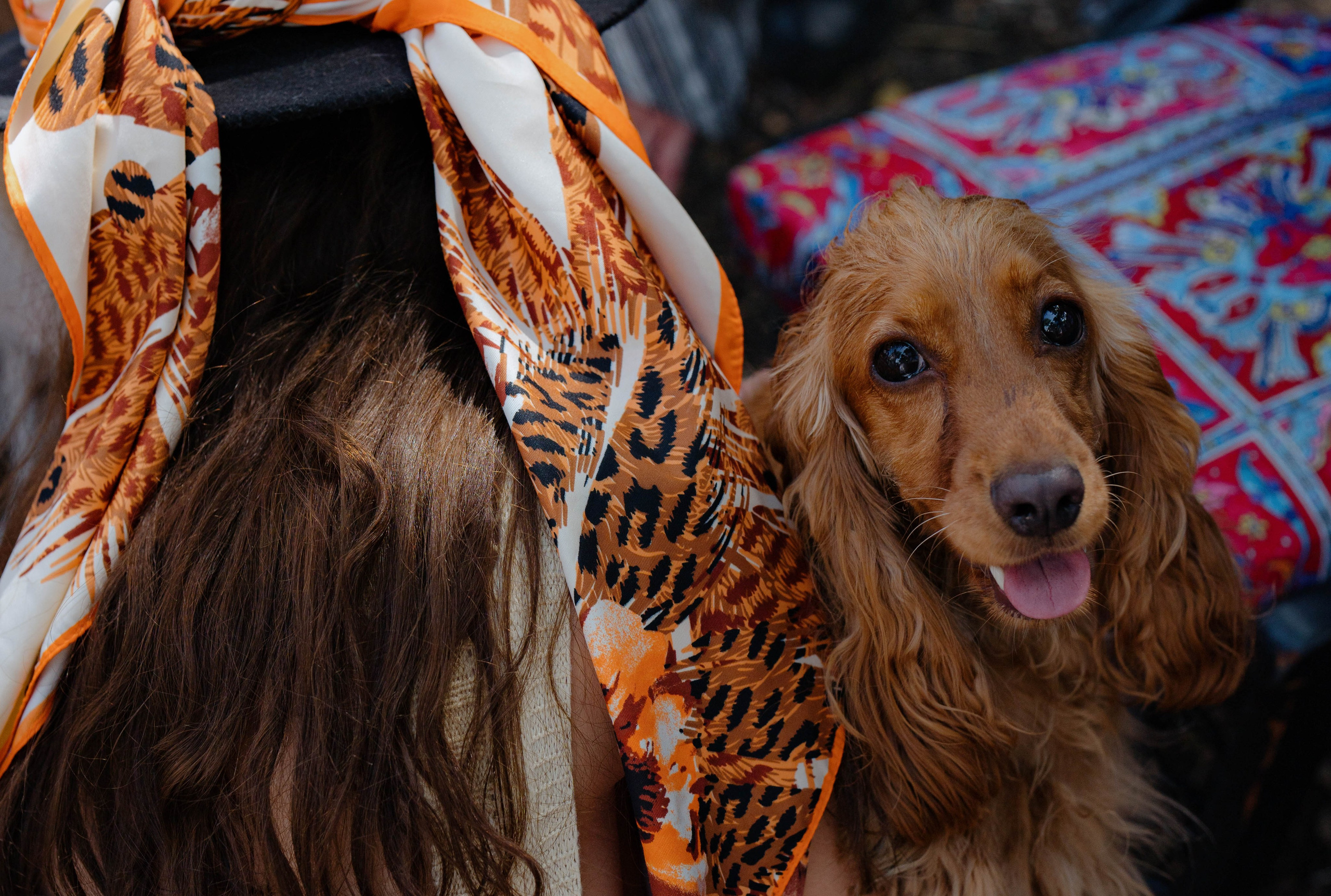 ASS FAMILY | СОН В ДЕРЕВНЕ | АВИАРЕЖИМ 8.0