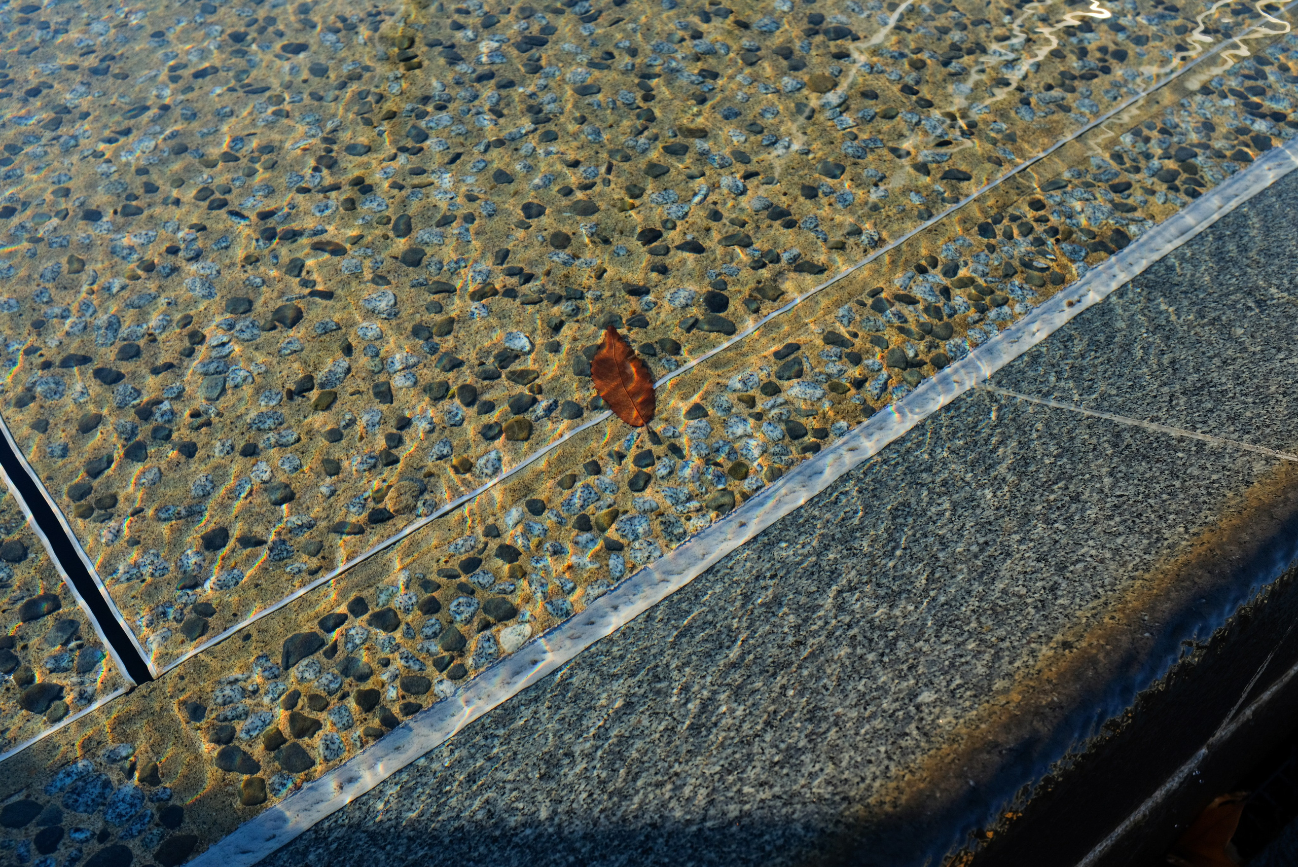 Tokyo. Regina Platonova