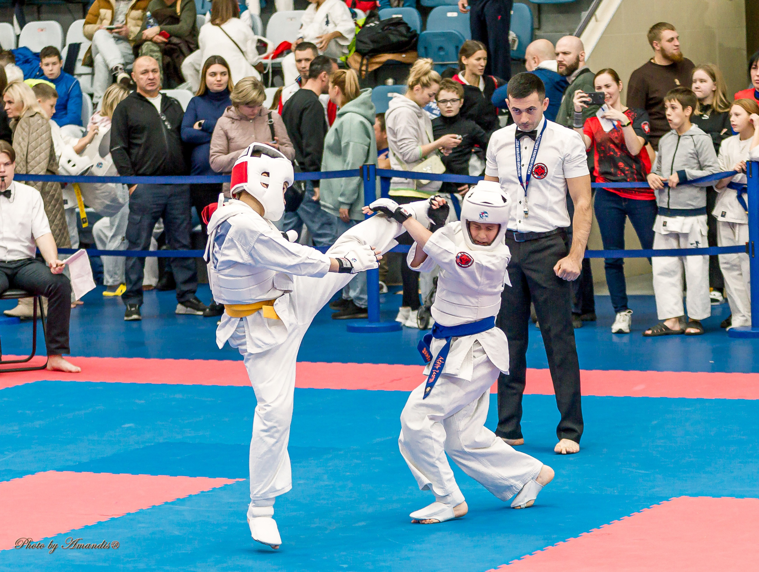 Чемпионат по Киокушинкай Центрального Федерального округа. Репортажная съемка в Москве и области. Анималистика