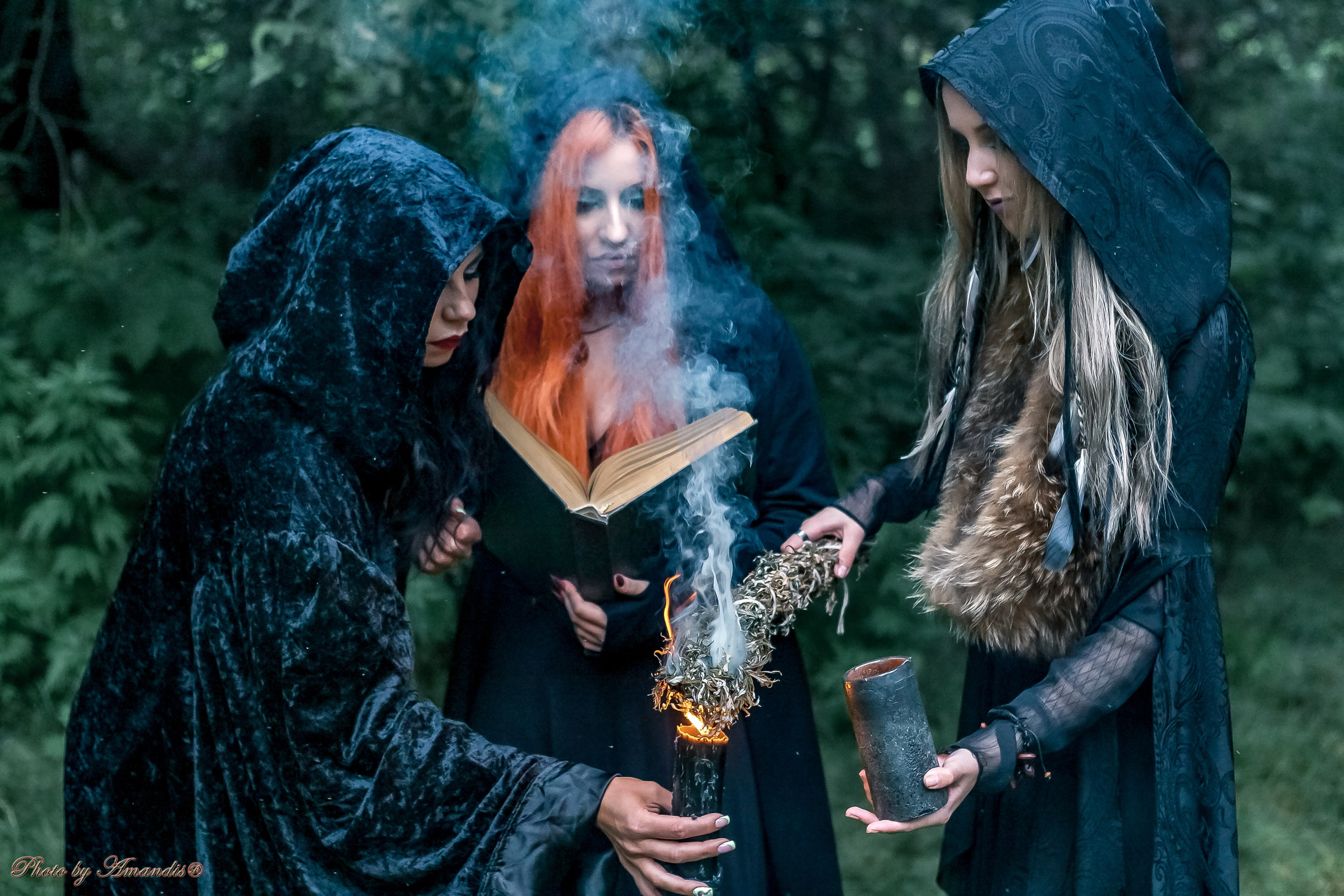 The witches. Репортажная съемка в Москве и области. Анималистика