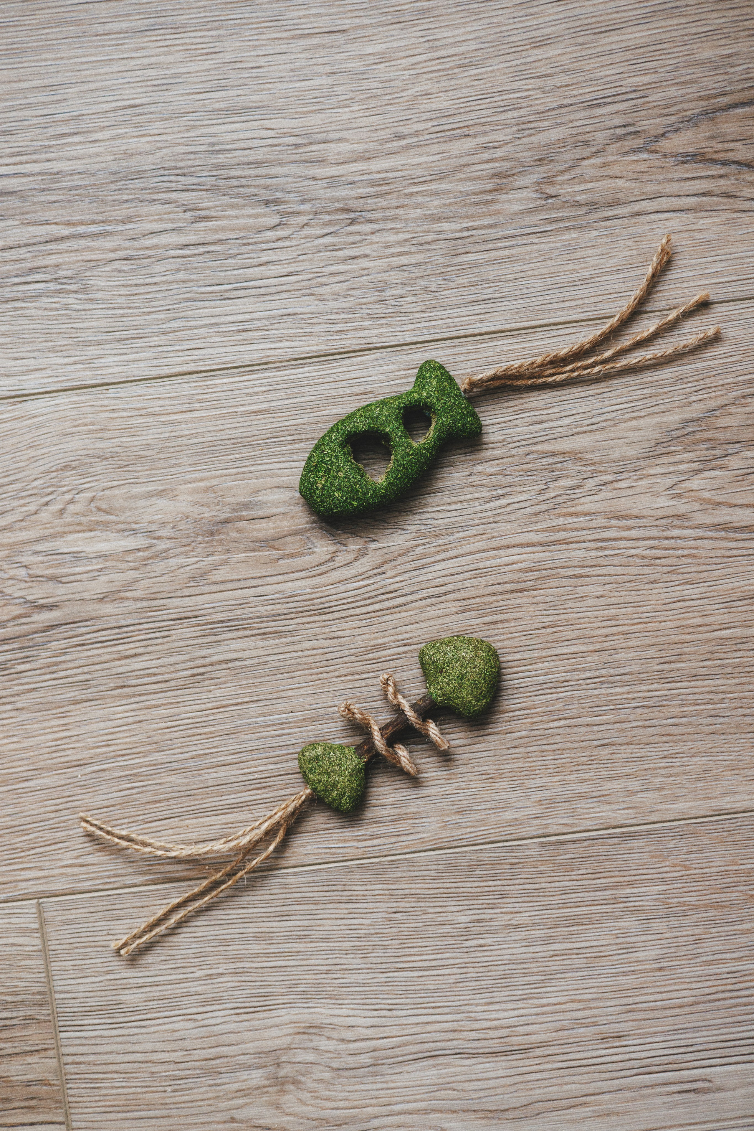 Товары для питомцев M-Pets & Petbiology. Фотограф анималист Осипчикова Мария