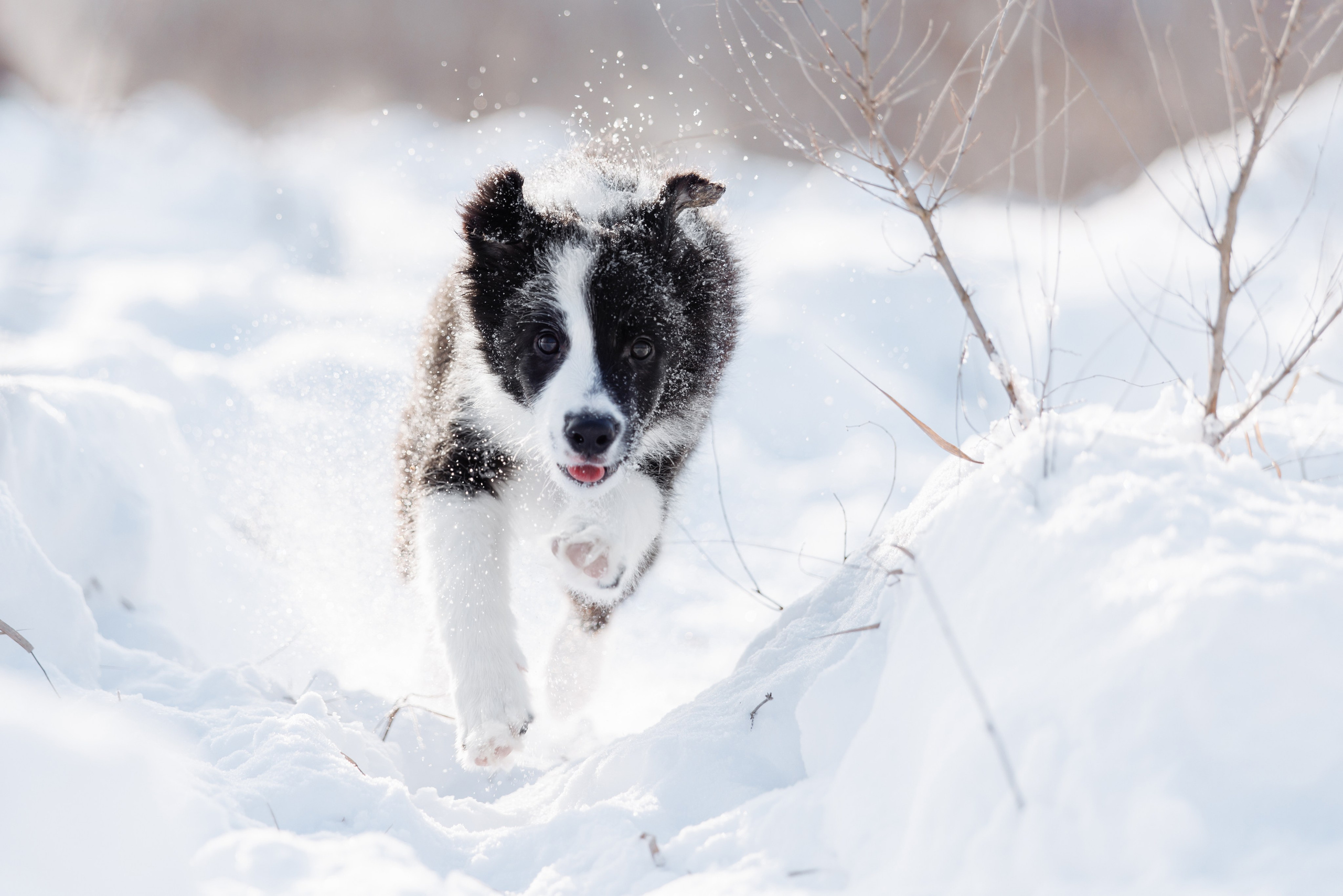 Яркий январь. О нас