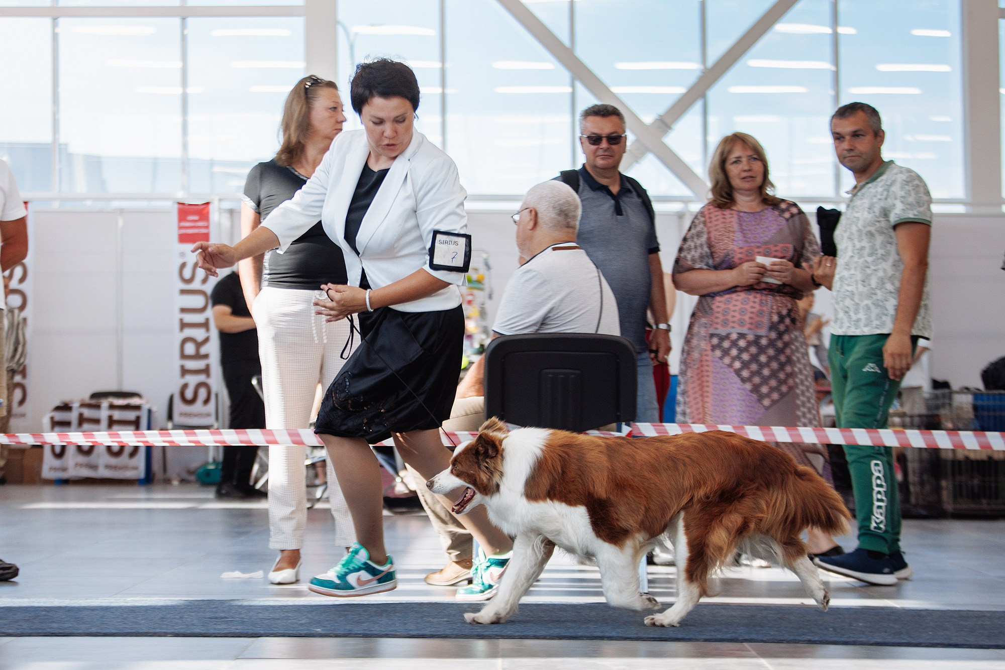 Оренбург. Лето. Краски. О нас