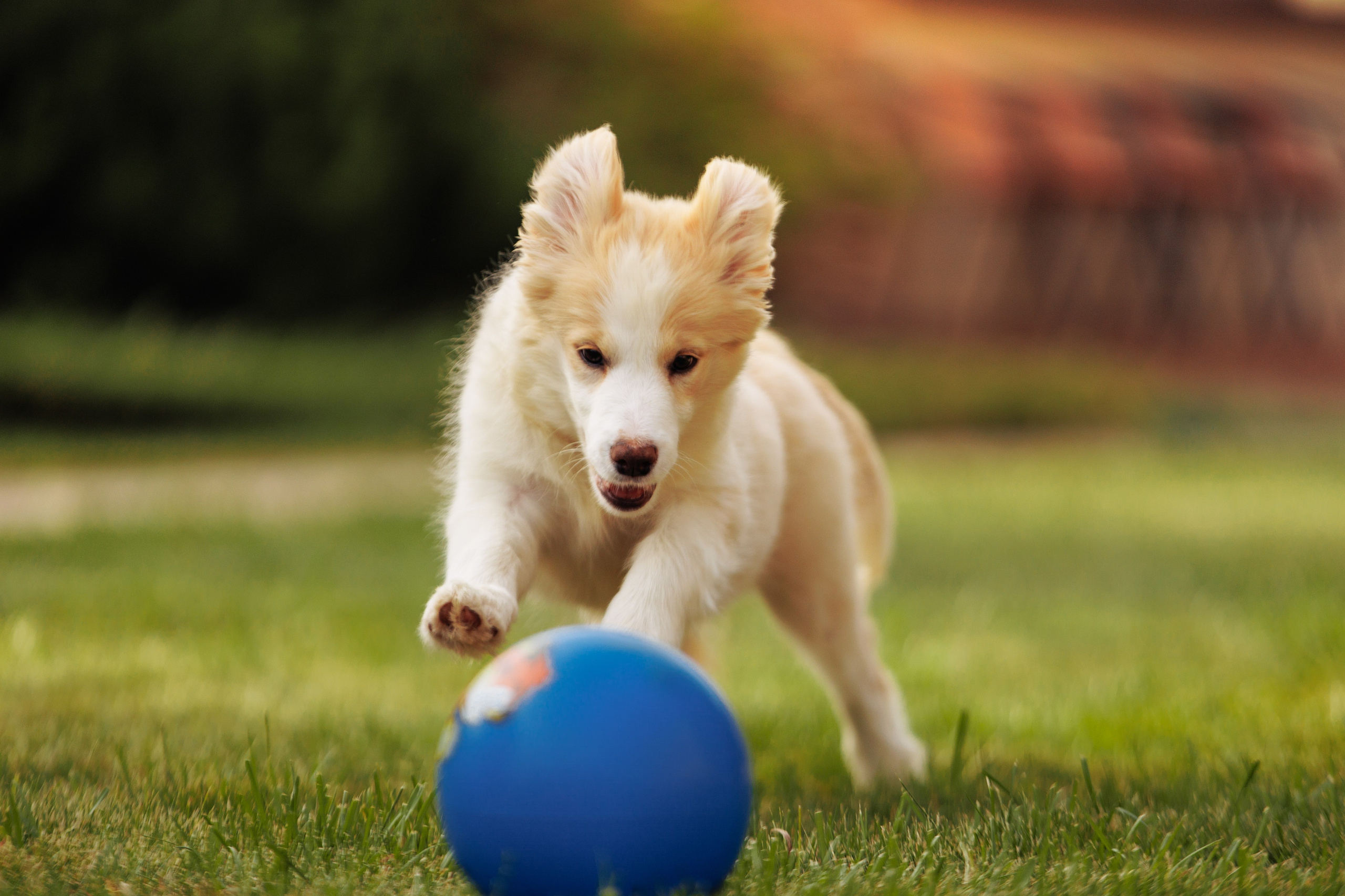 СОлнечные. О нас