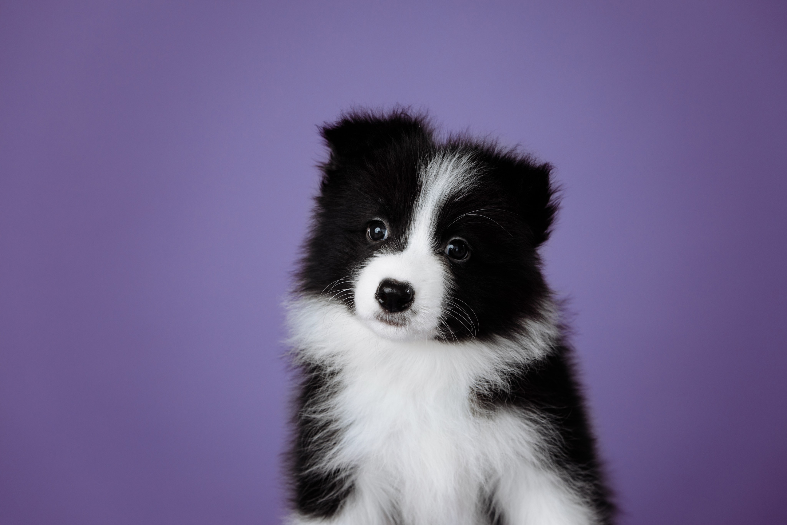 Март. Весна. 22. О нас