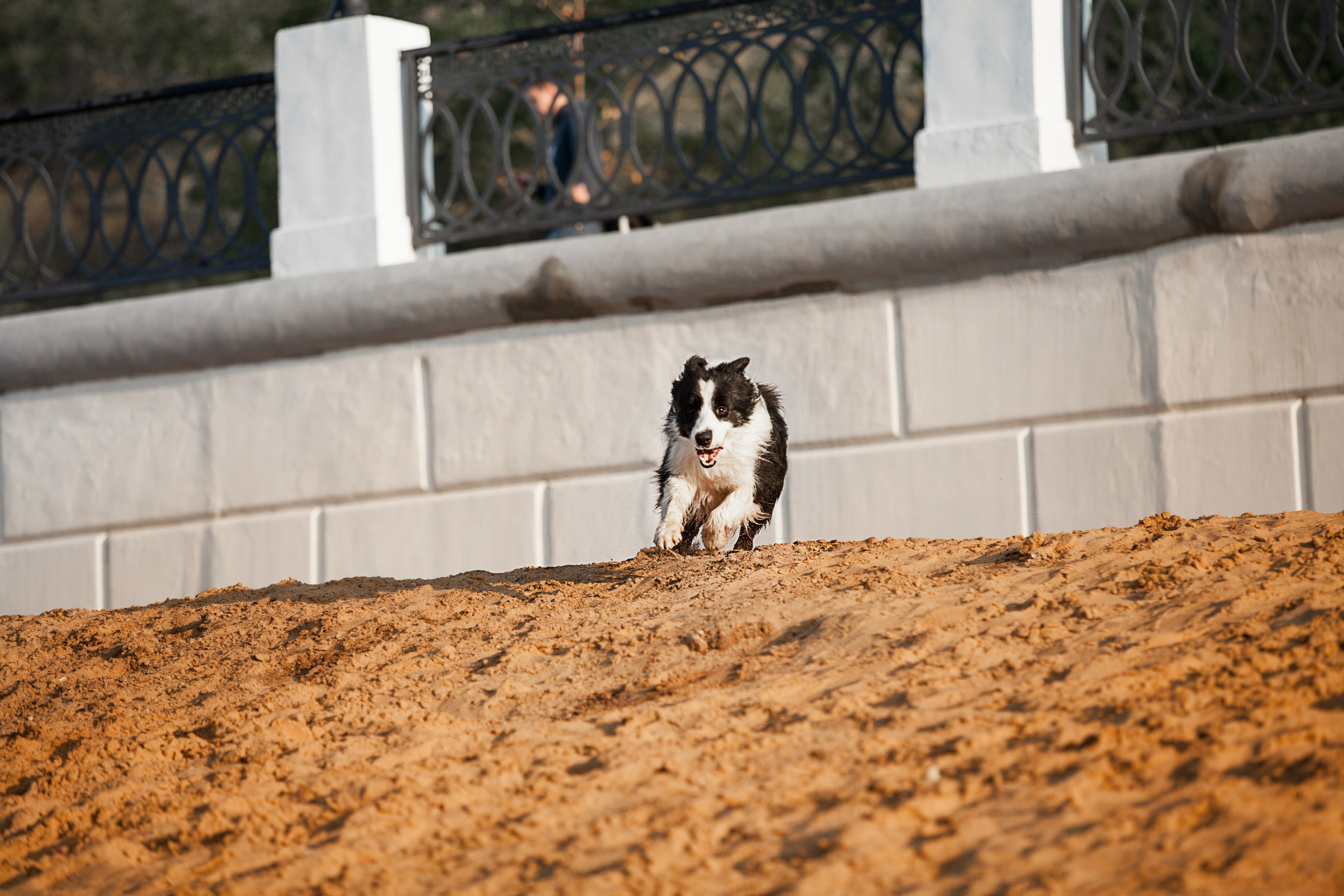 Сочный рассвет, на который решились. О нас