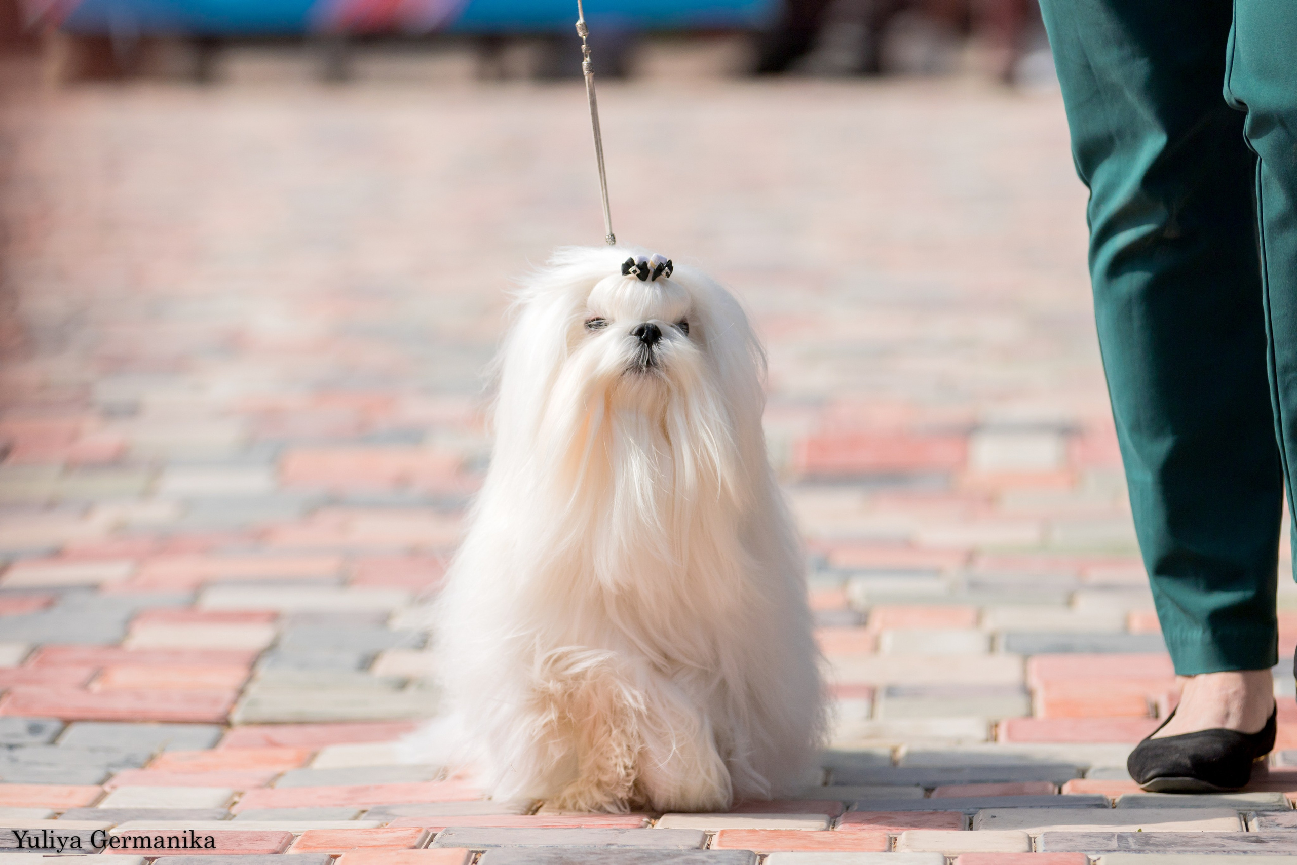 Ташкент 6-8.10.2023 + Алматы 14-15.10.2023