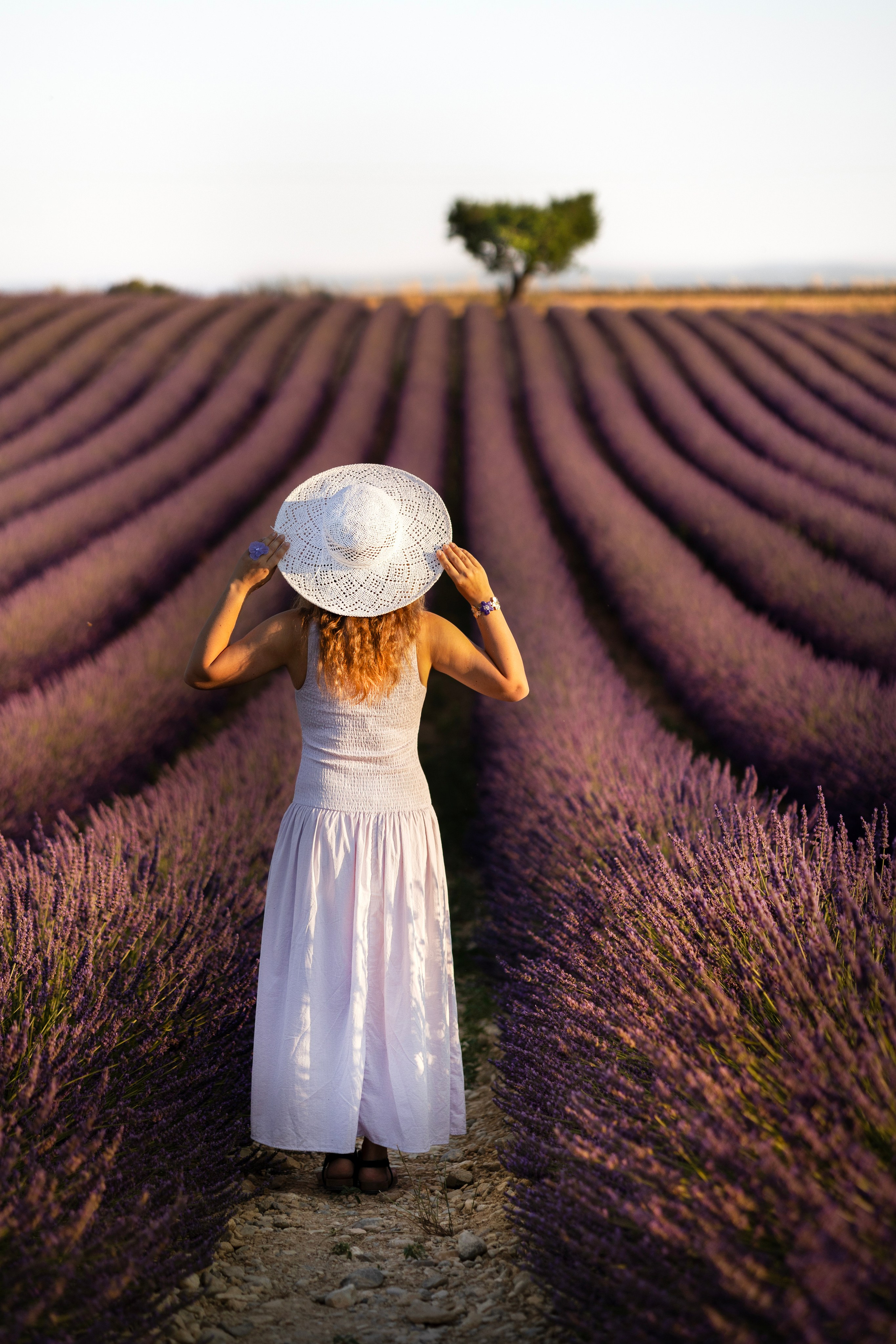 Provence. Фотограф в Мюнхене